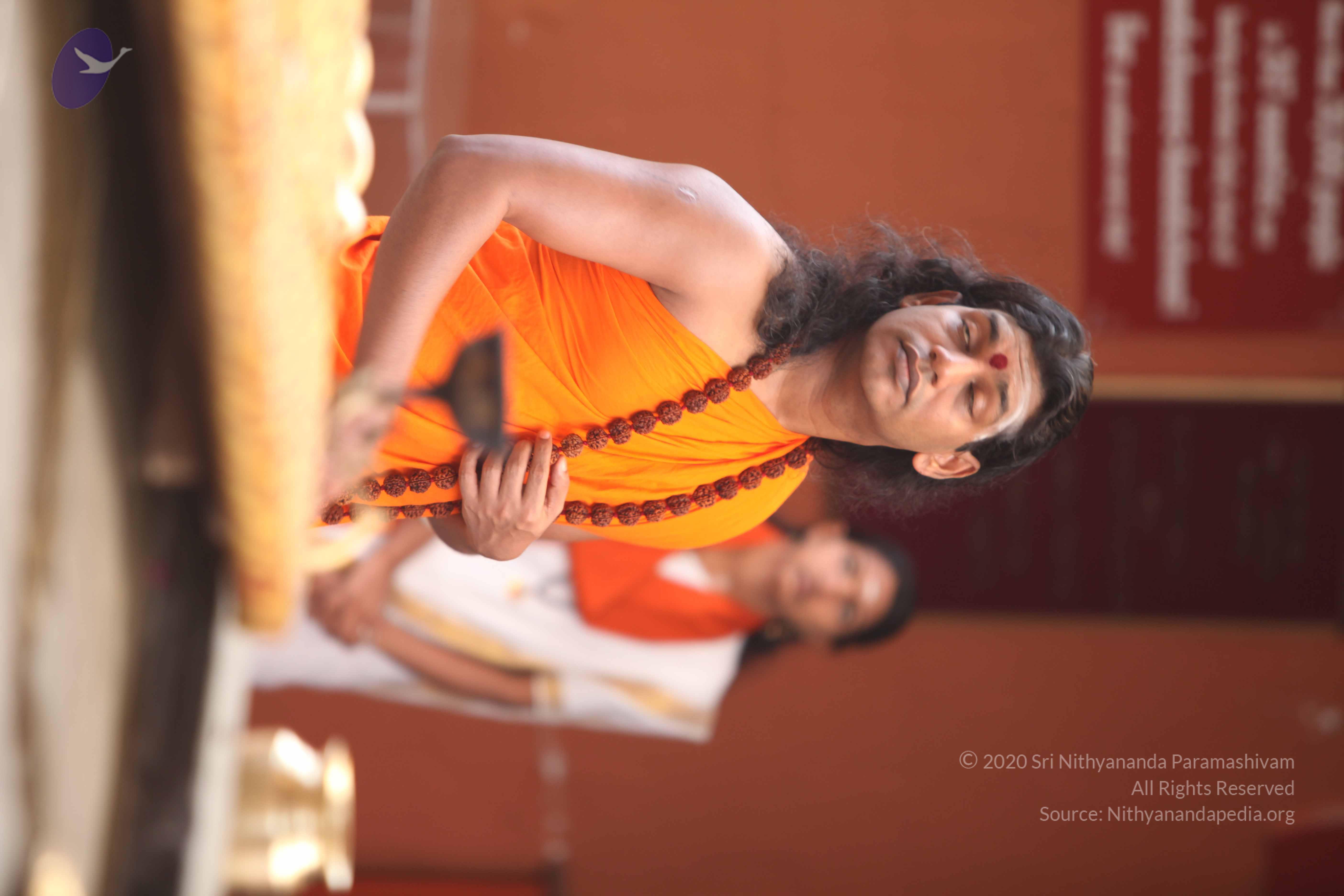 20110225_Photo_1010_IMG_1783_CMP_WM