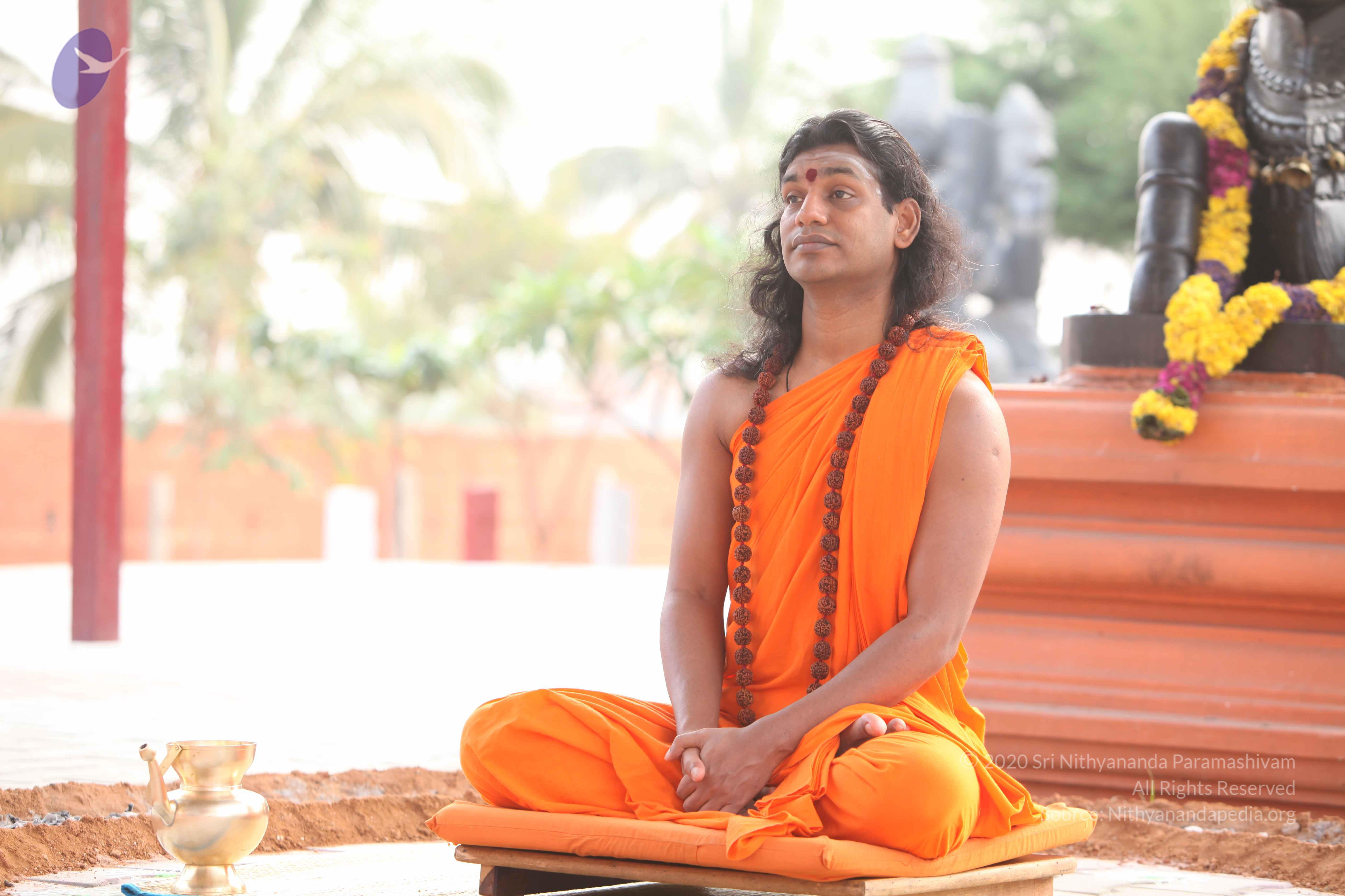 20110225_Photo_1013_IMG_1817_CMP_WM