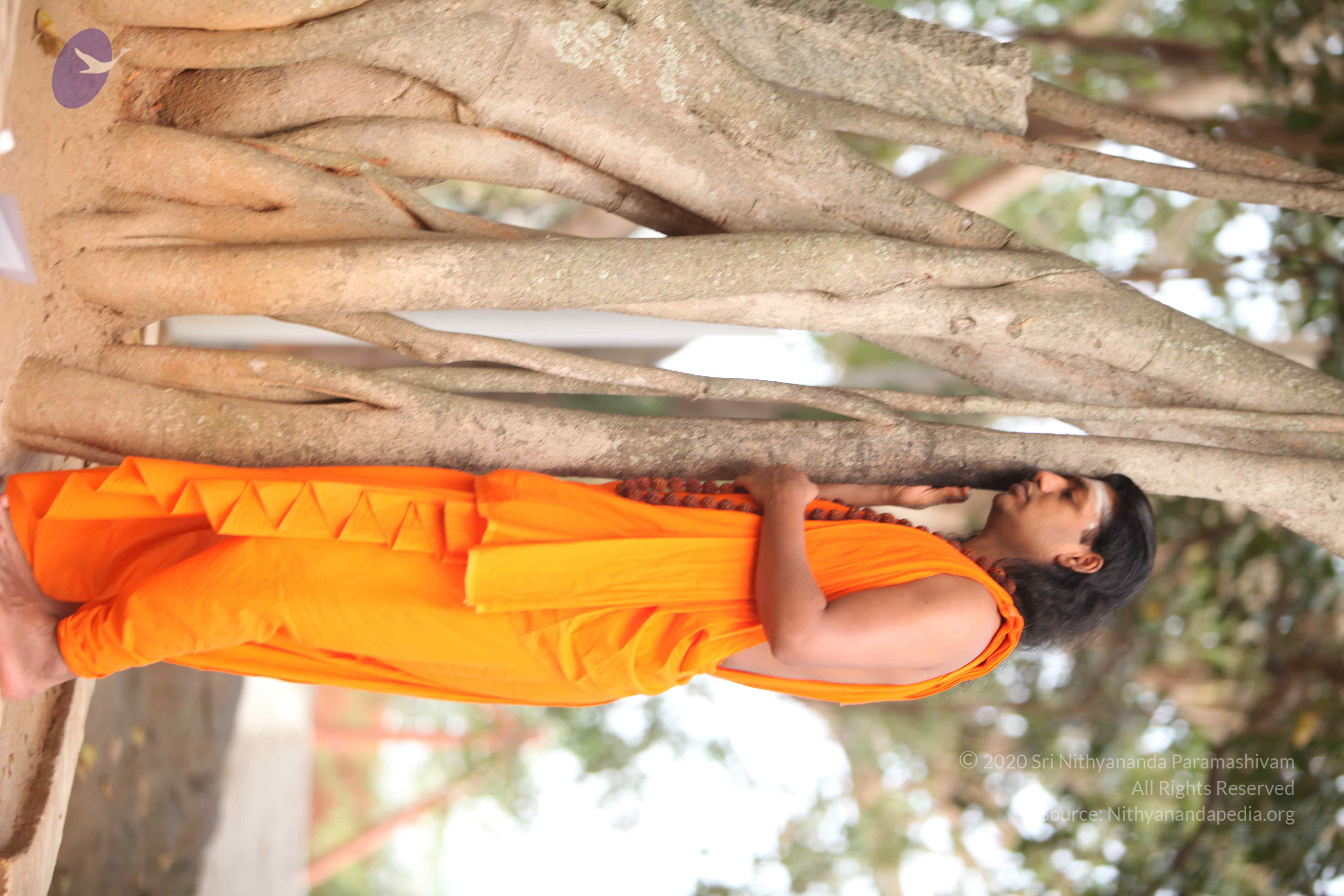 20110225_Photo_1015_IMG_1771_CMP_WM