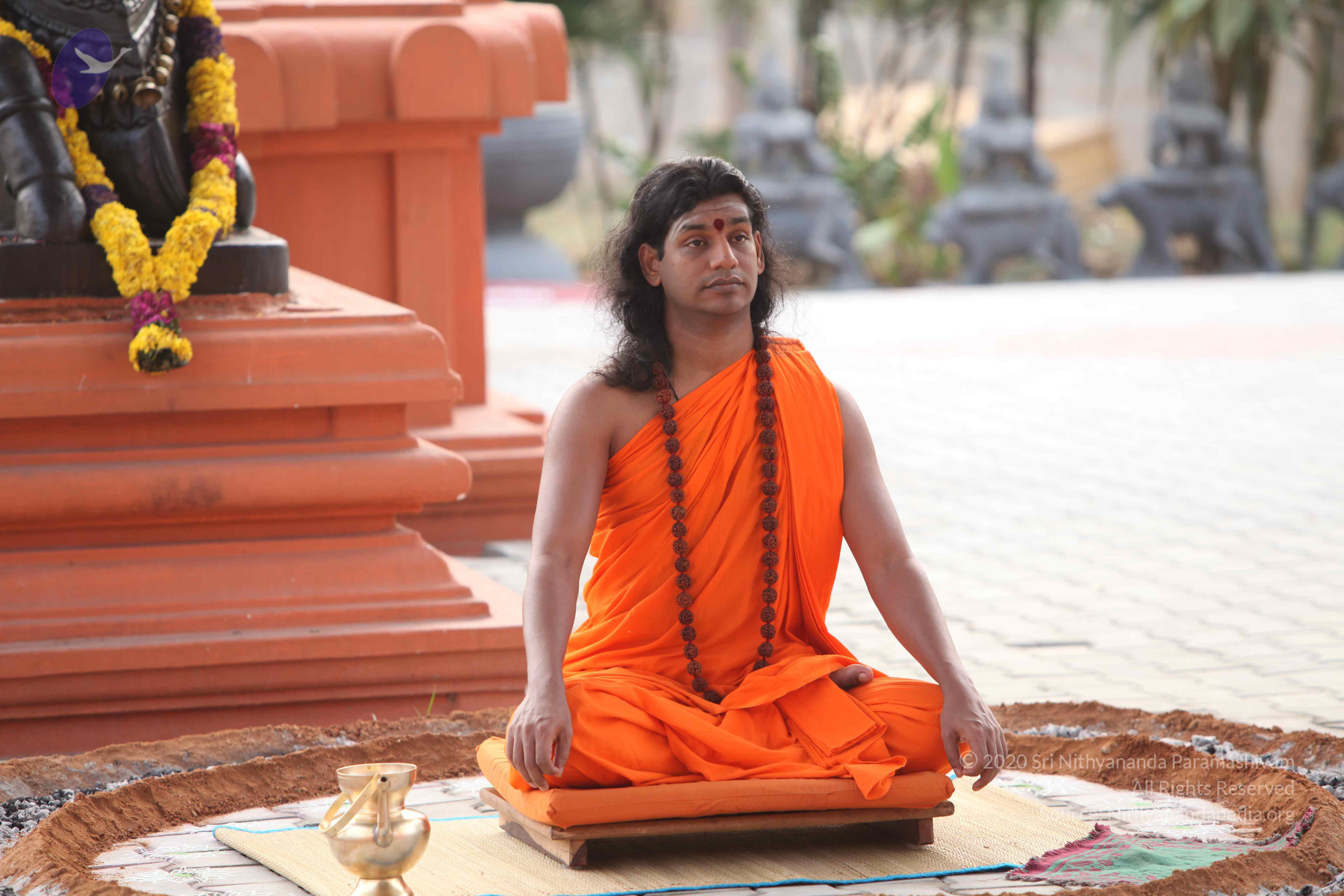 20110225_Photo_1016_IMG_1789_CMP_WM