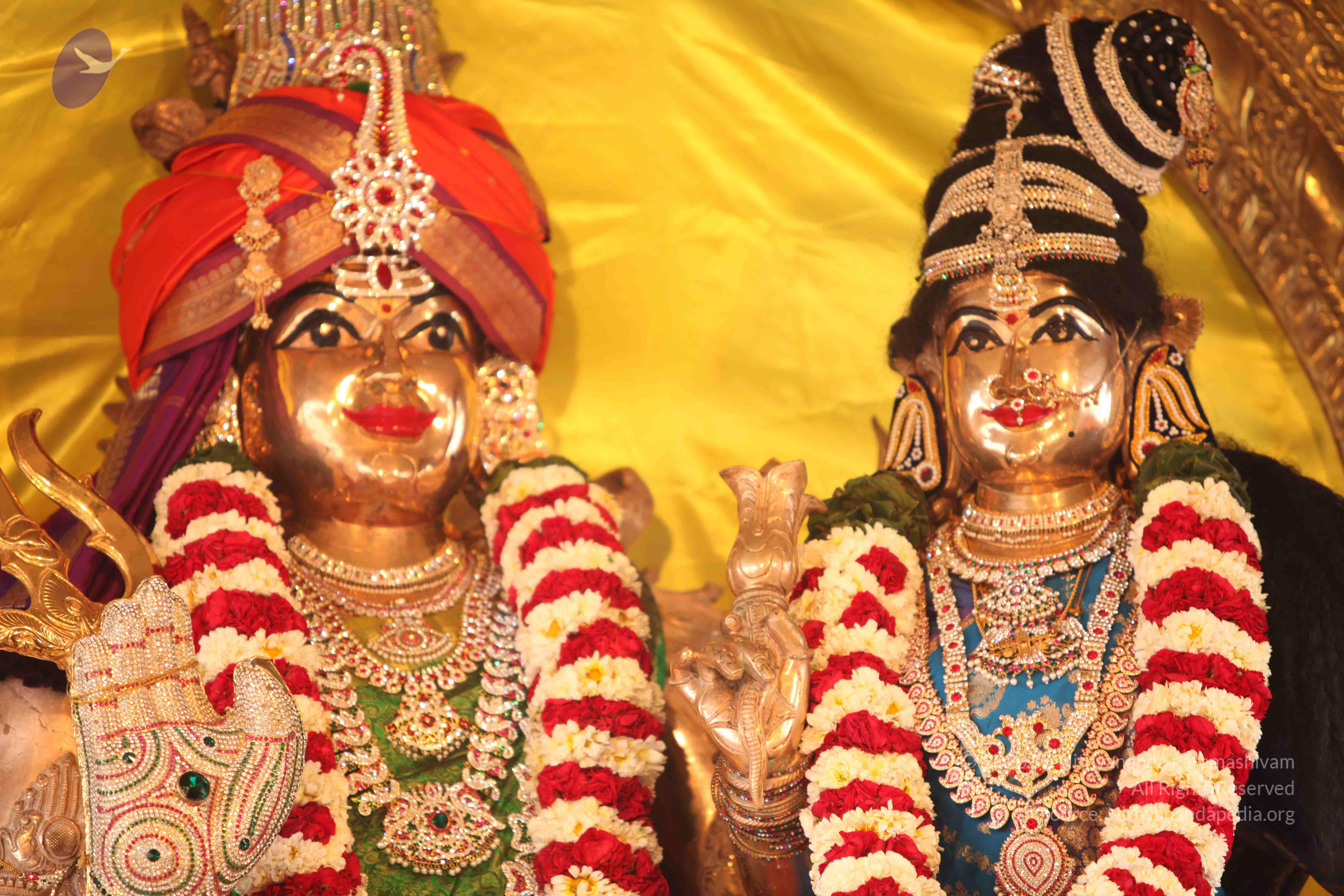 20110225_Photo_1017_IMG_1776_CMP_WM