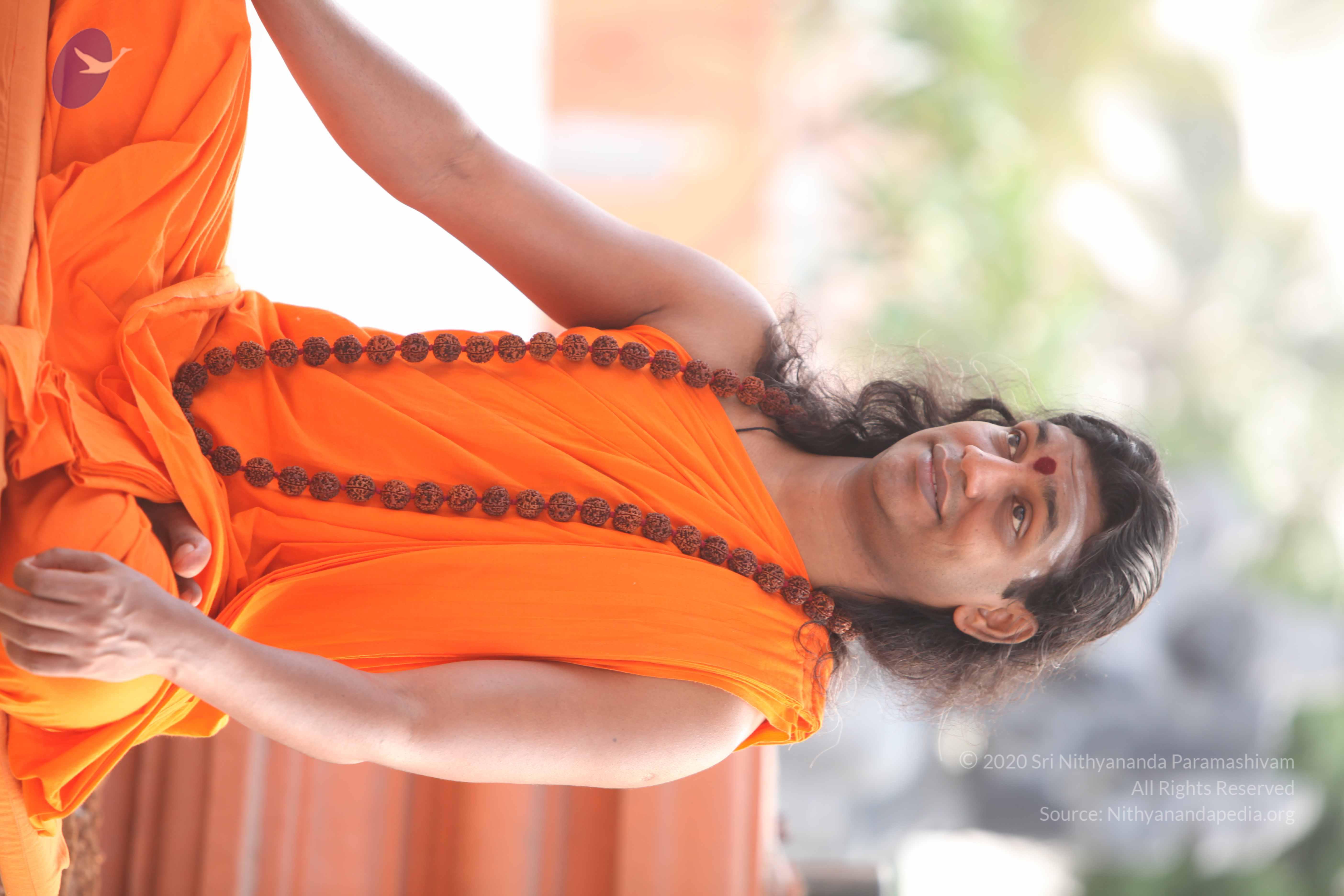 20110225_Photo_1018_IMG_1810_CMP_WM