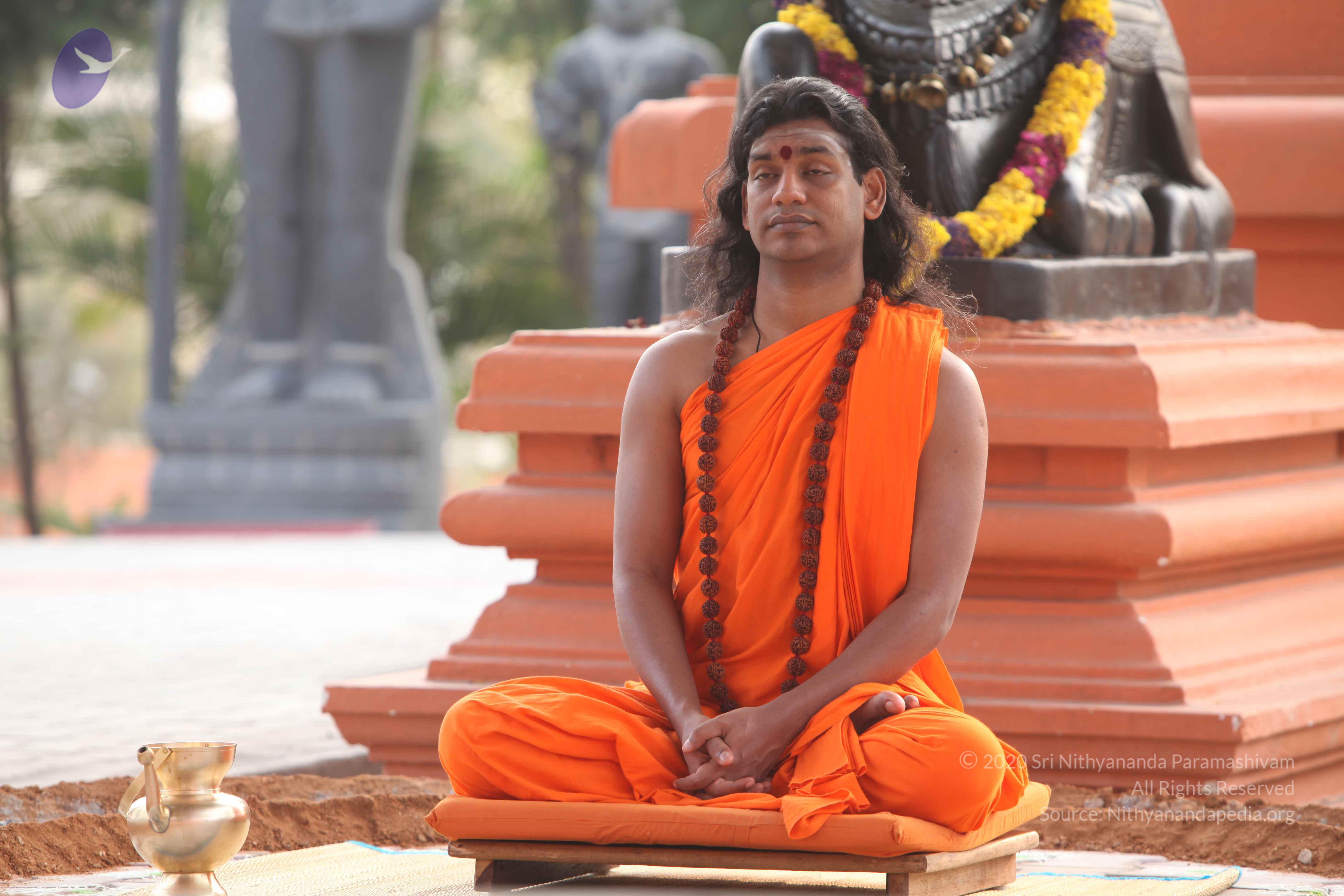 20110225_Photo_1019_IMG_1827_CMP_WM