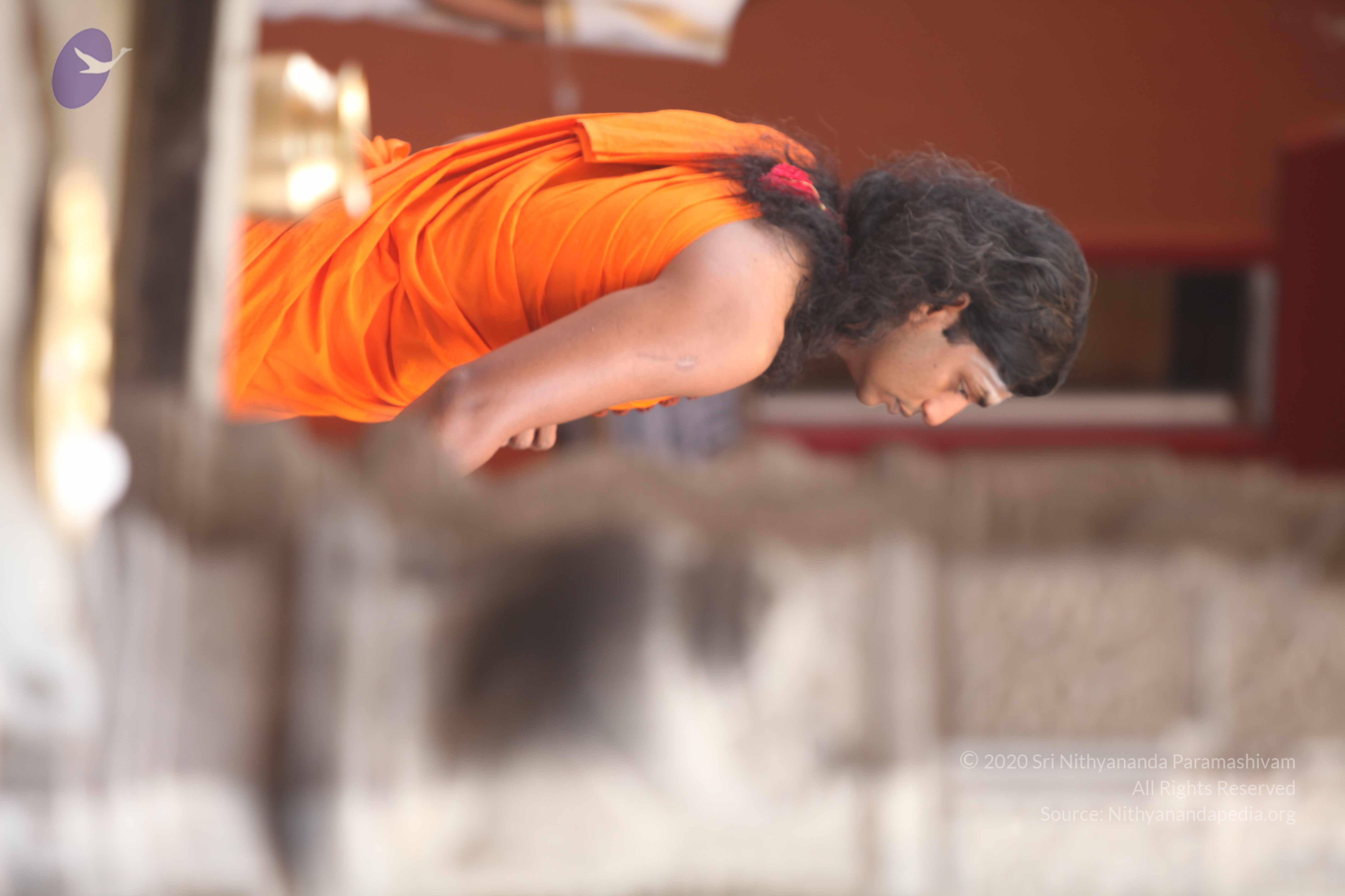 20110225_Photo_1021_IMG_1784_CMP_WM