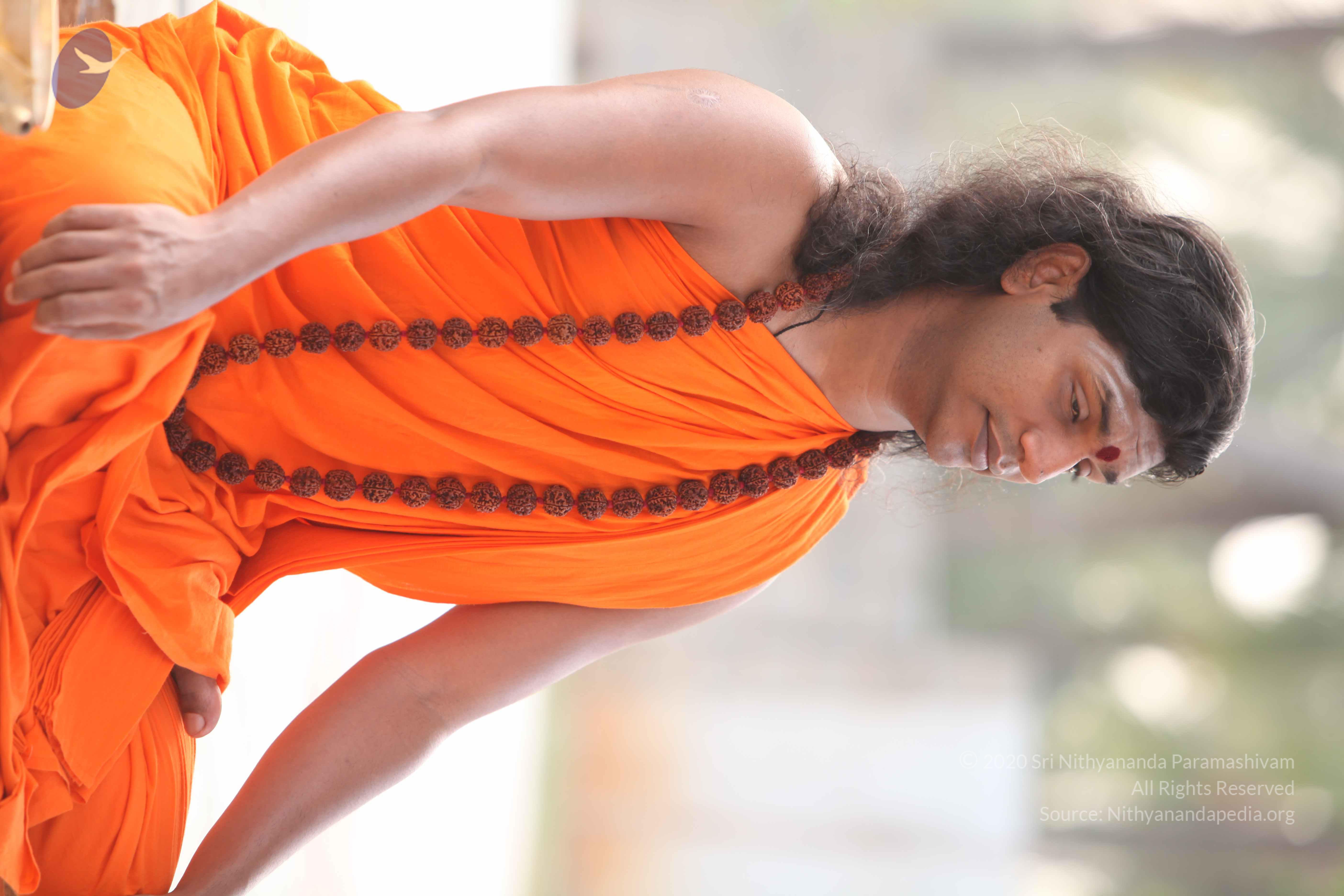 20110225_Photo_1022_IMG_1801_CMP_WM