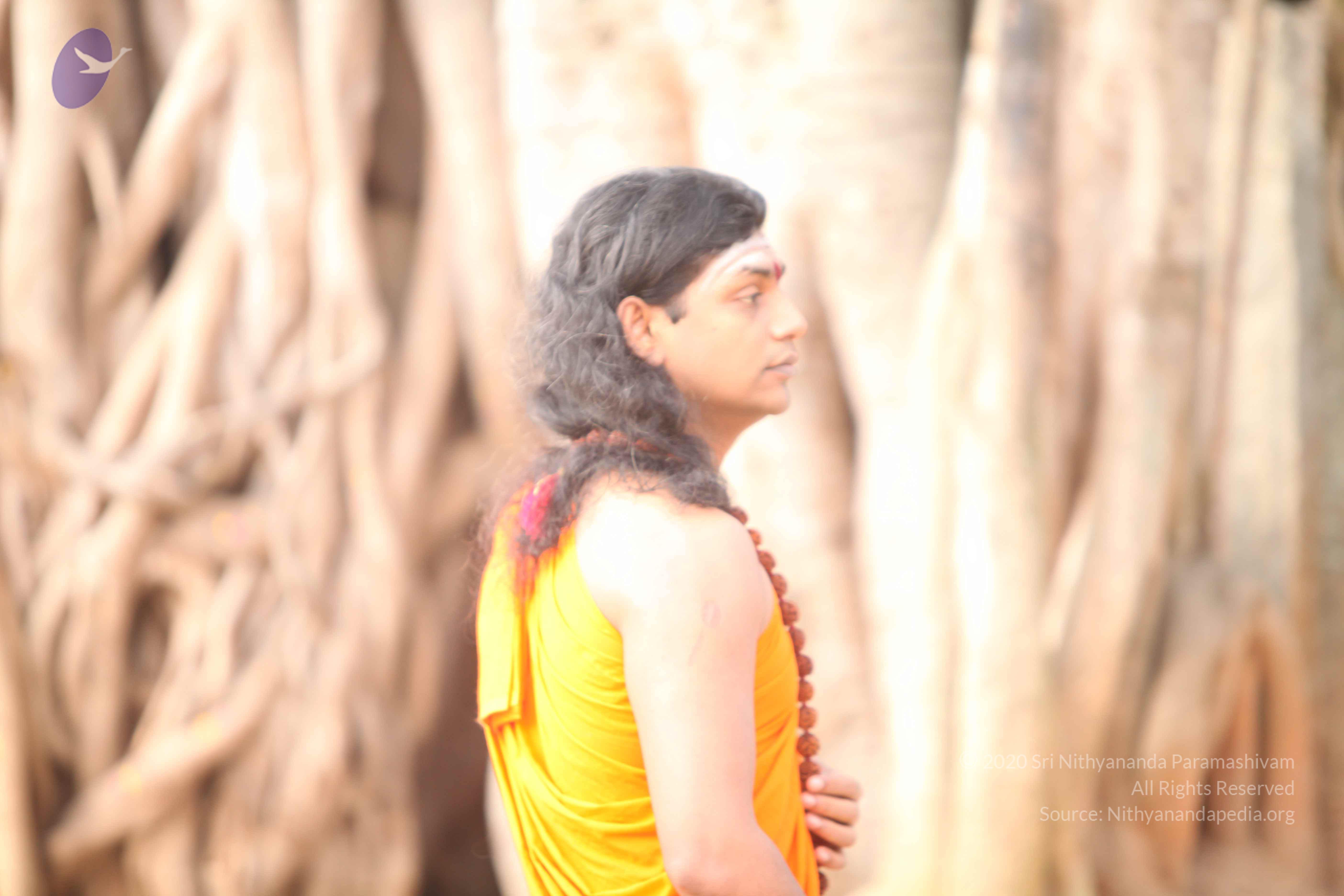 20110225_Photo_1023_IMG_1767_CMP_WM