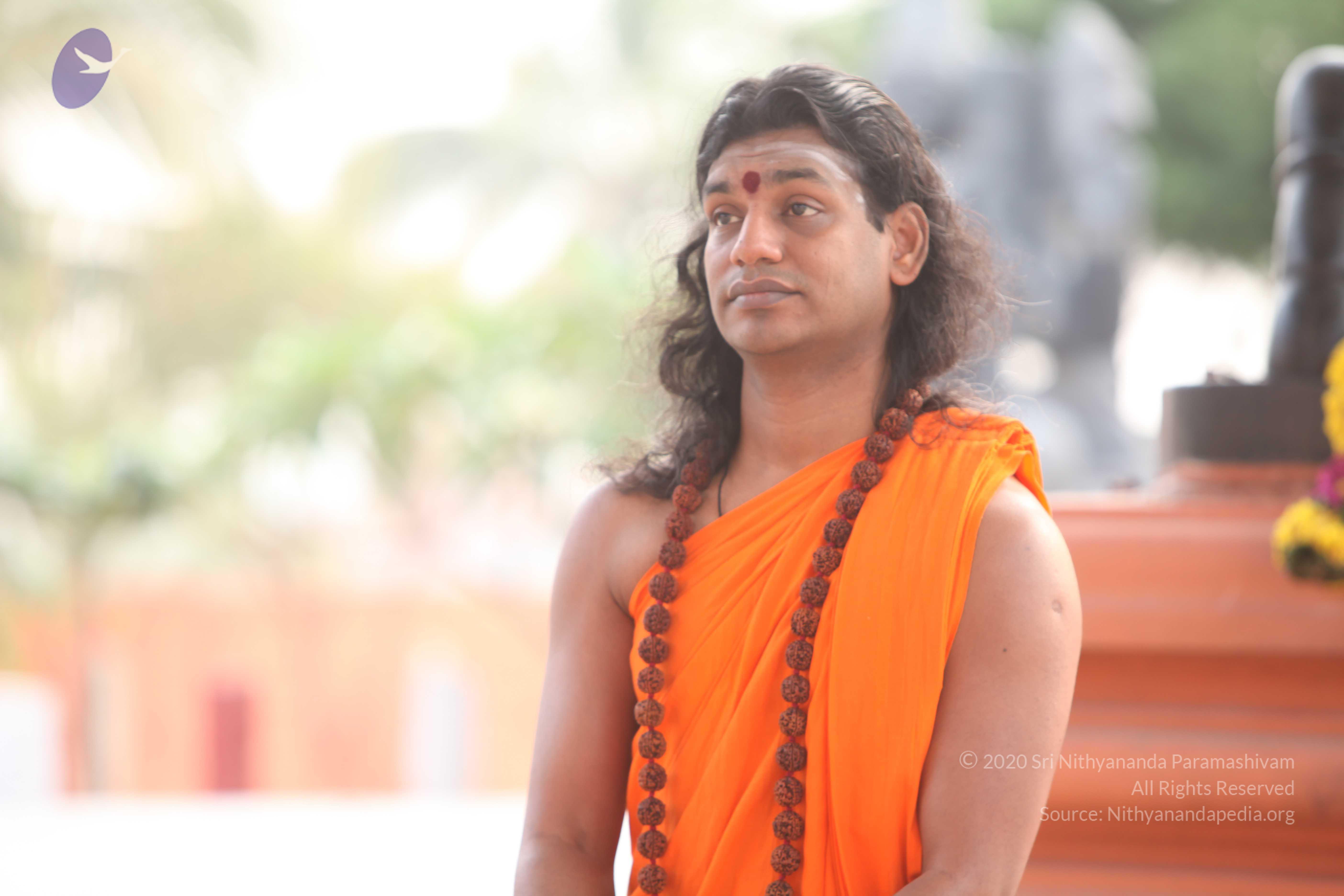 20110225_Photo_1027_IMG_1818_CMP_WM