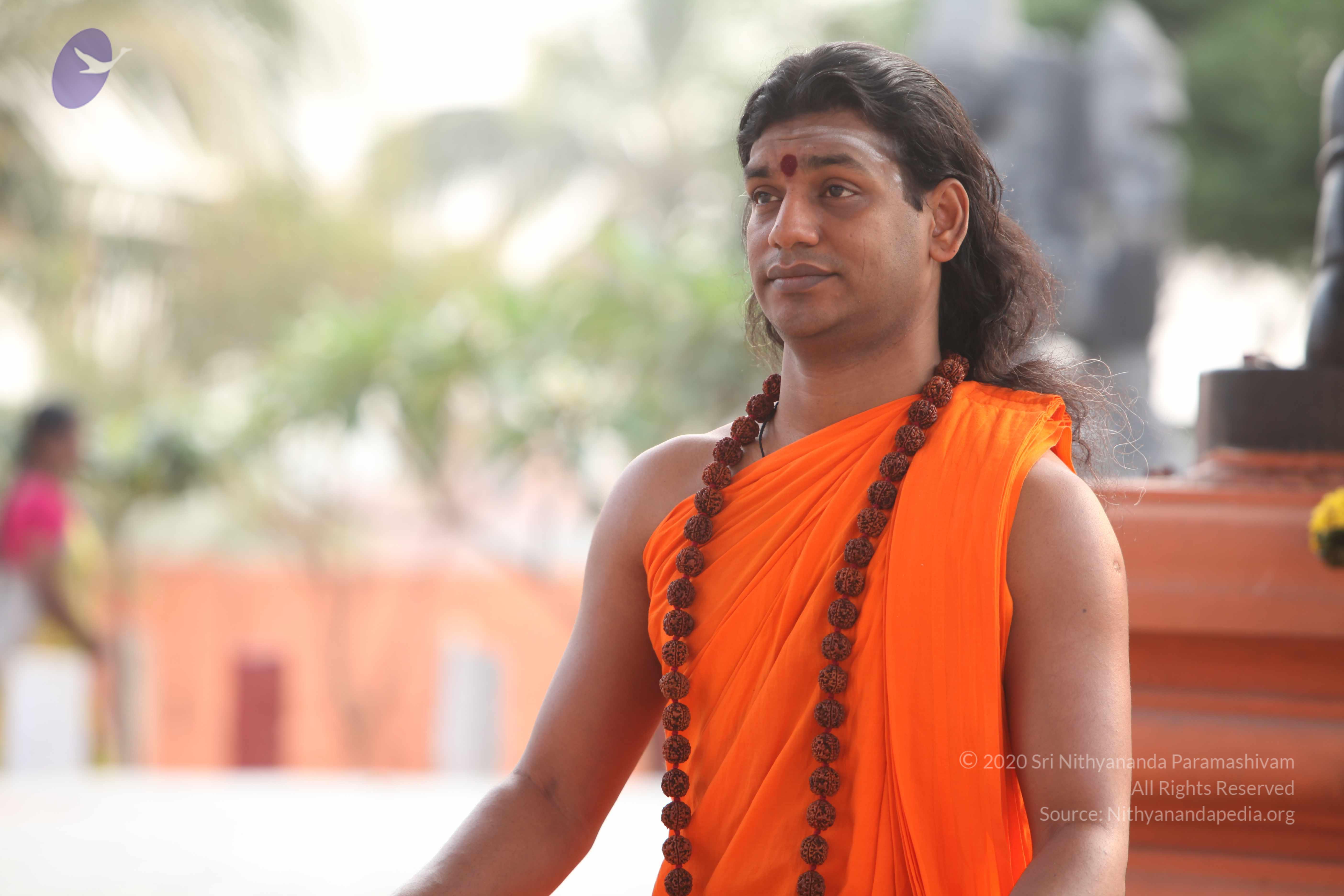 20110225_Photo_1032_IMG_1822_CMP_WM