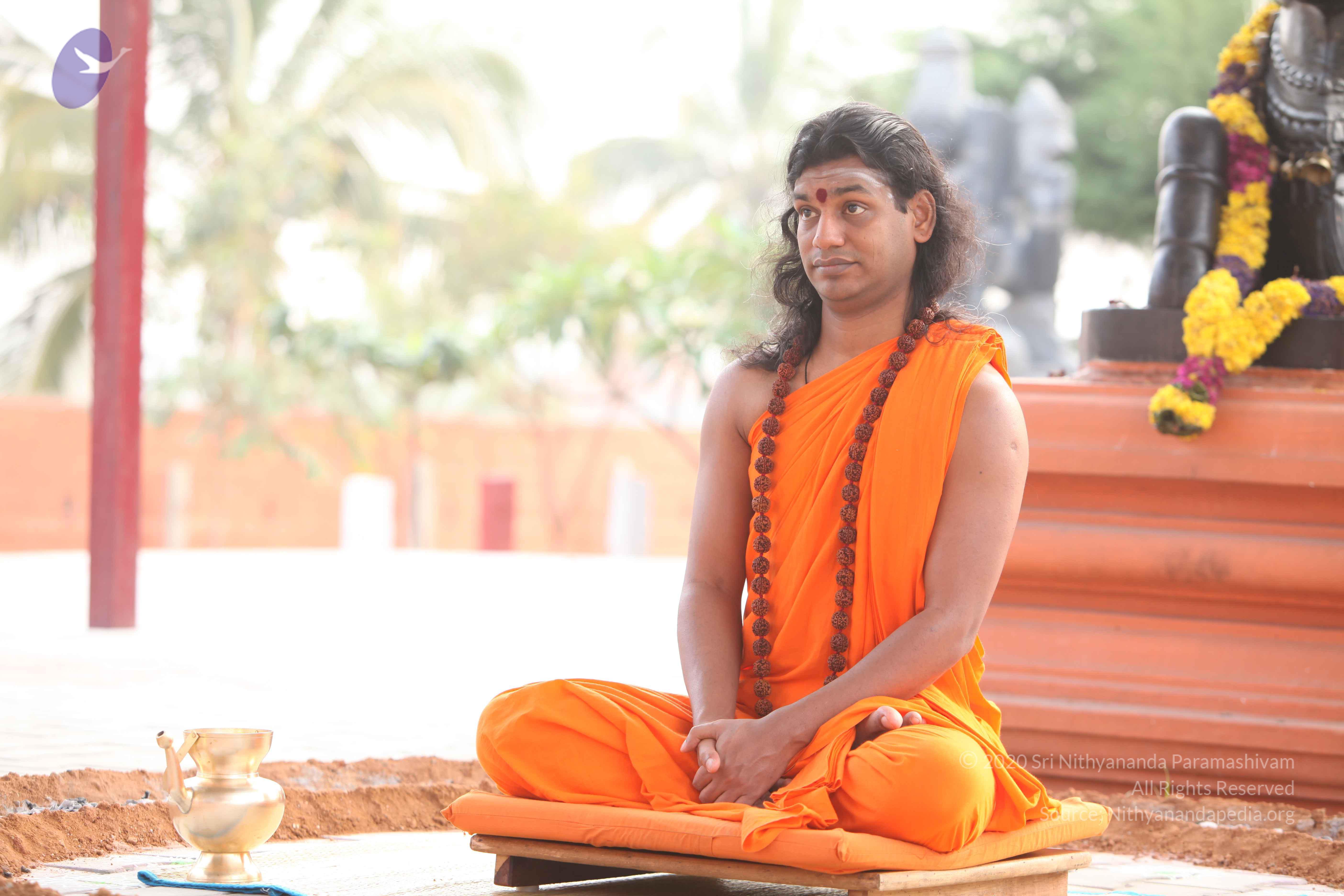 20110225_Photo_1033_IMG_1815_CMP_WM