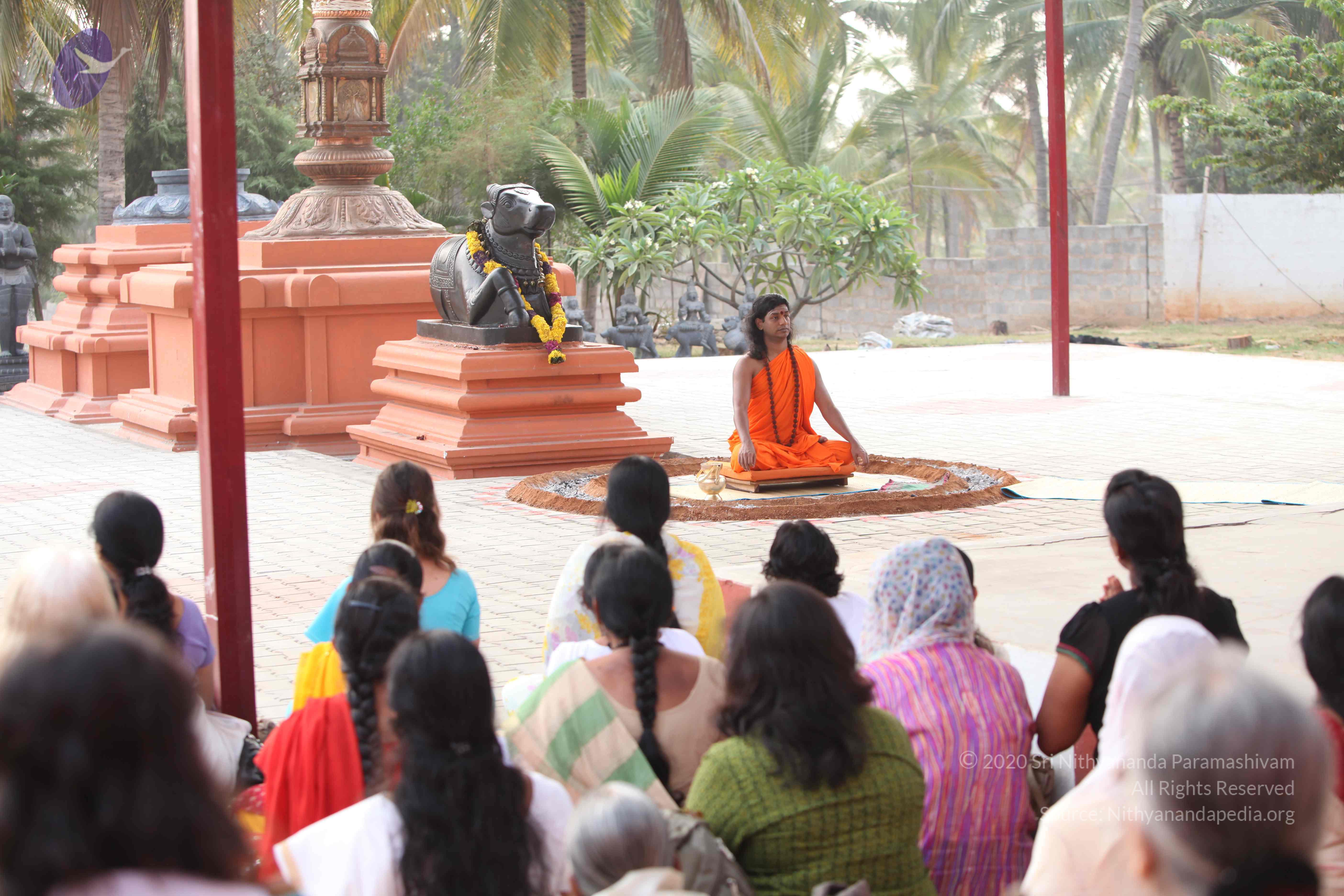 20110225_Photo_1034_IMG_1790_CMP_WM