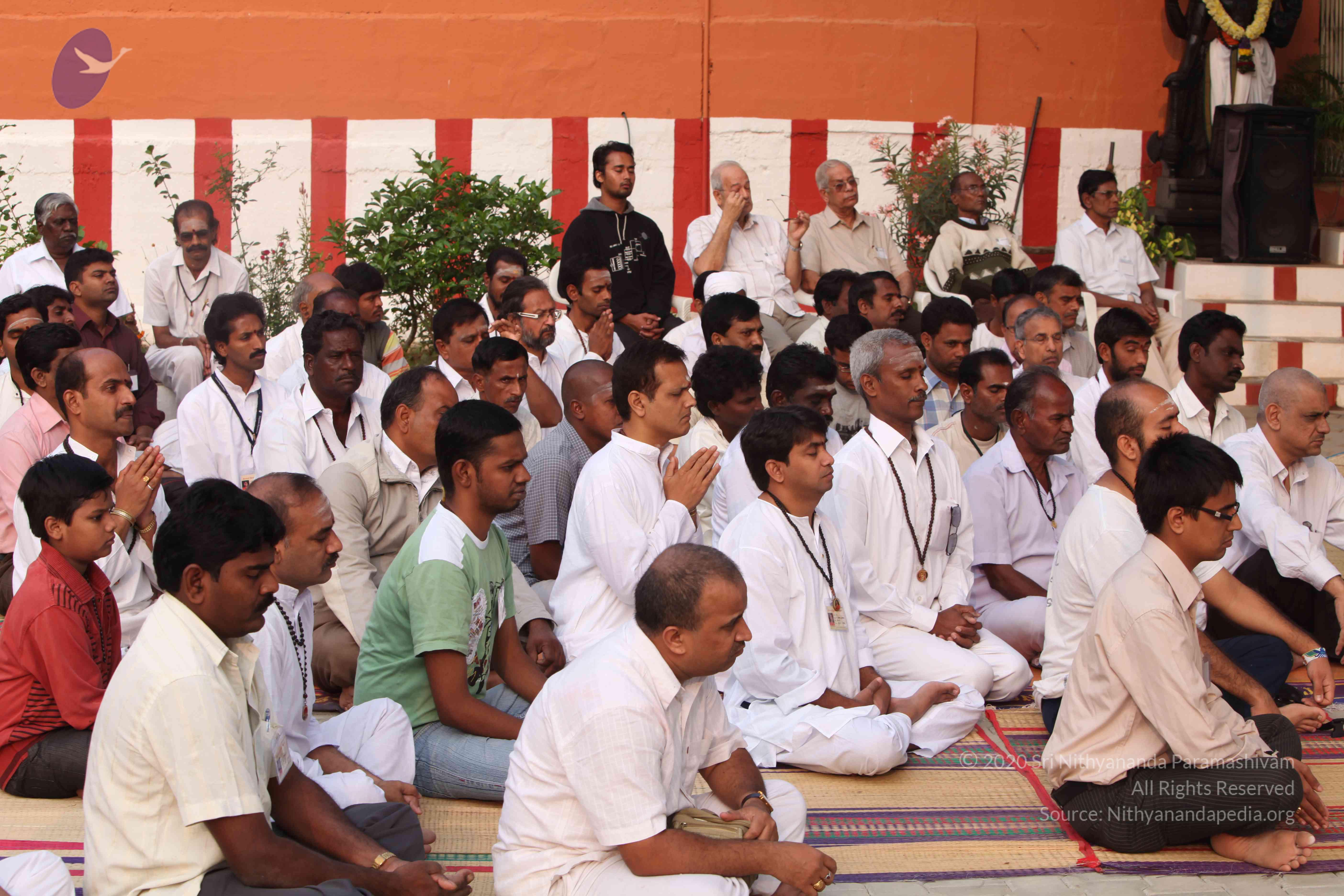 20110225_Photo_1038_IMG_1830_CMP_WM