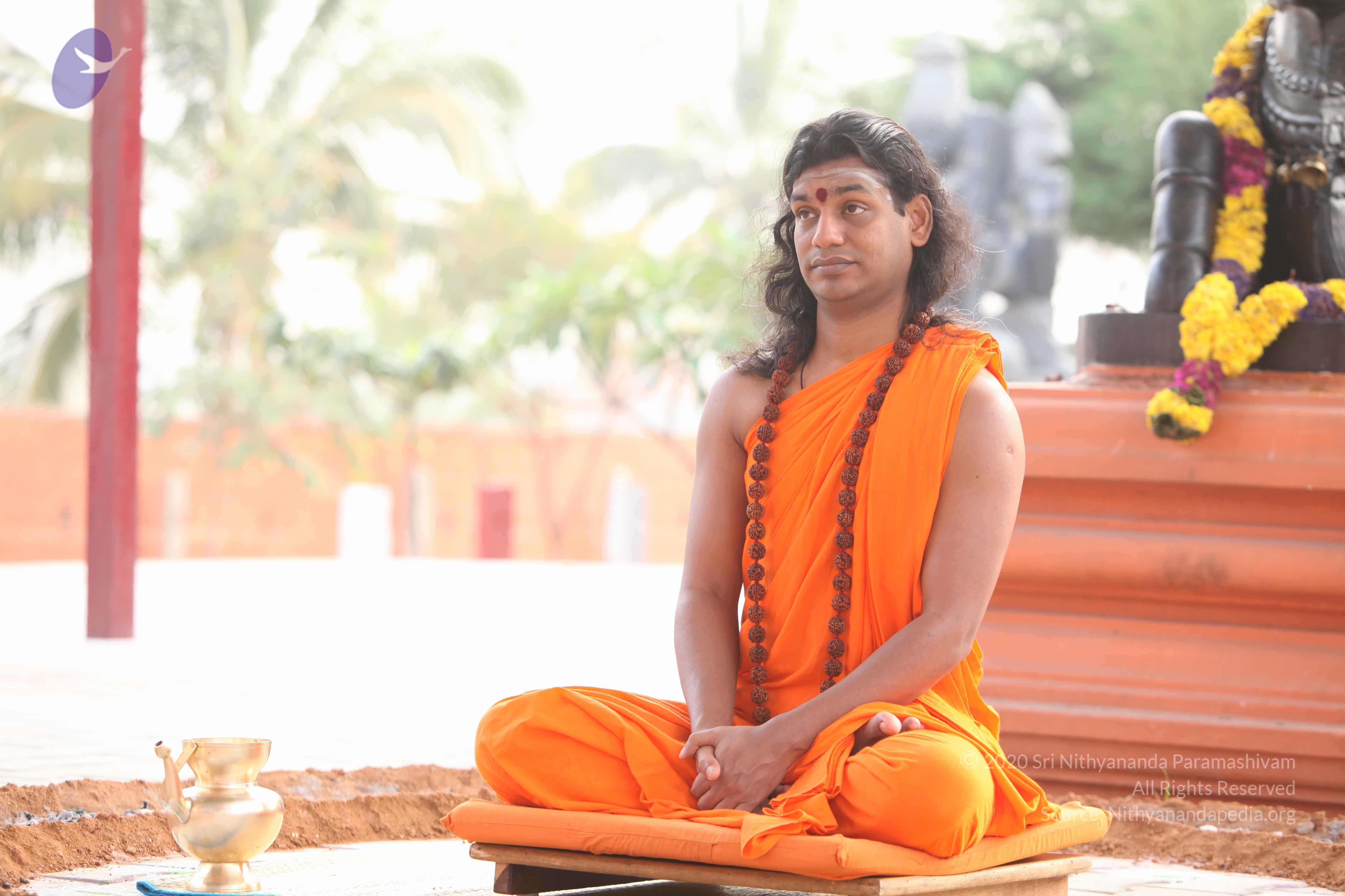 20110225_Photo_1039_IMG_1816_CMP_WM