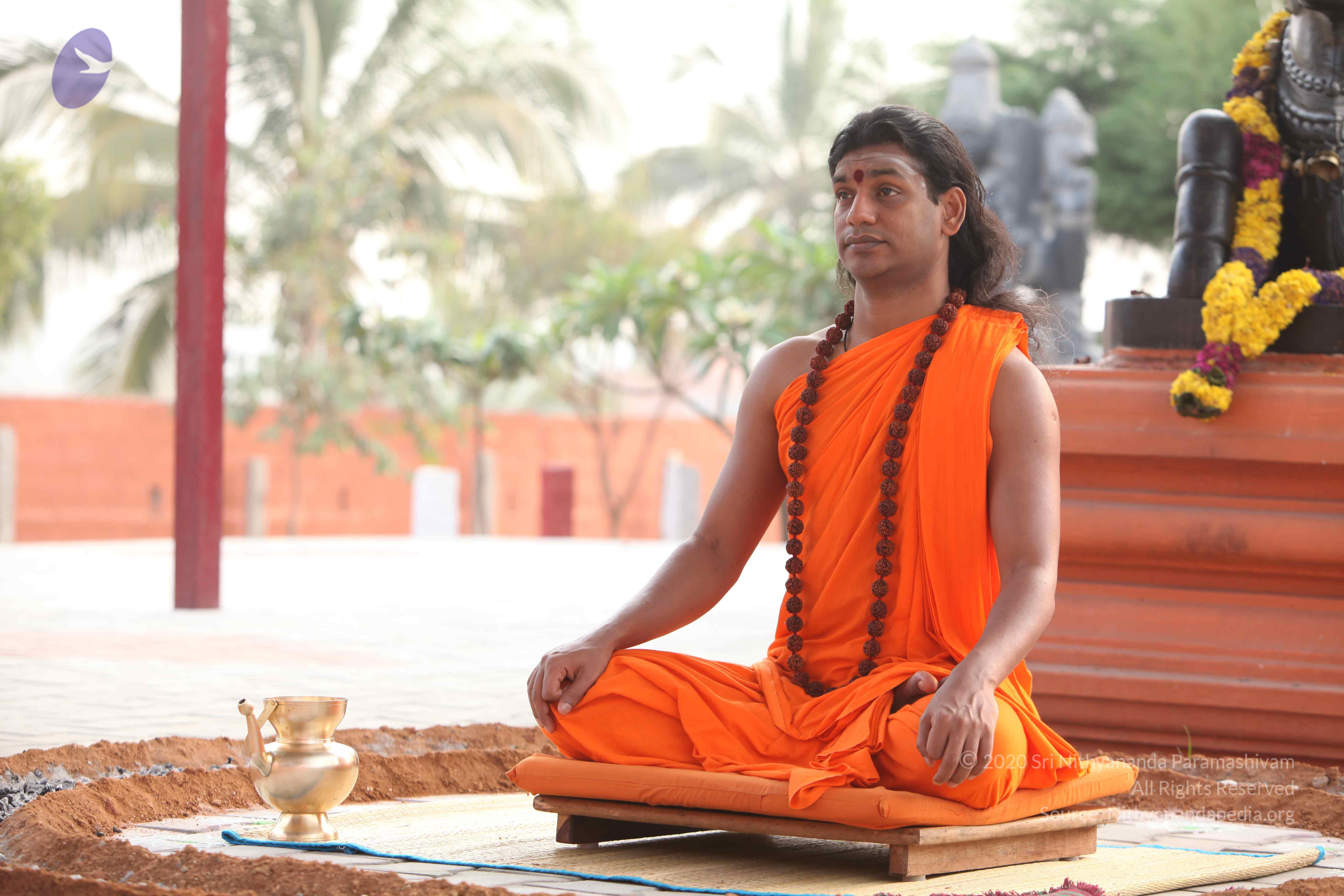 20110225_Photo_1040_IMG_1821_CMP_WM