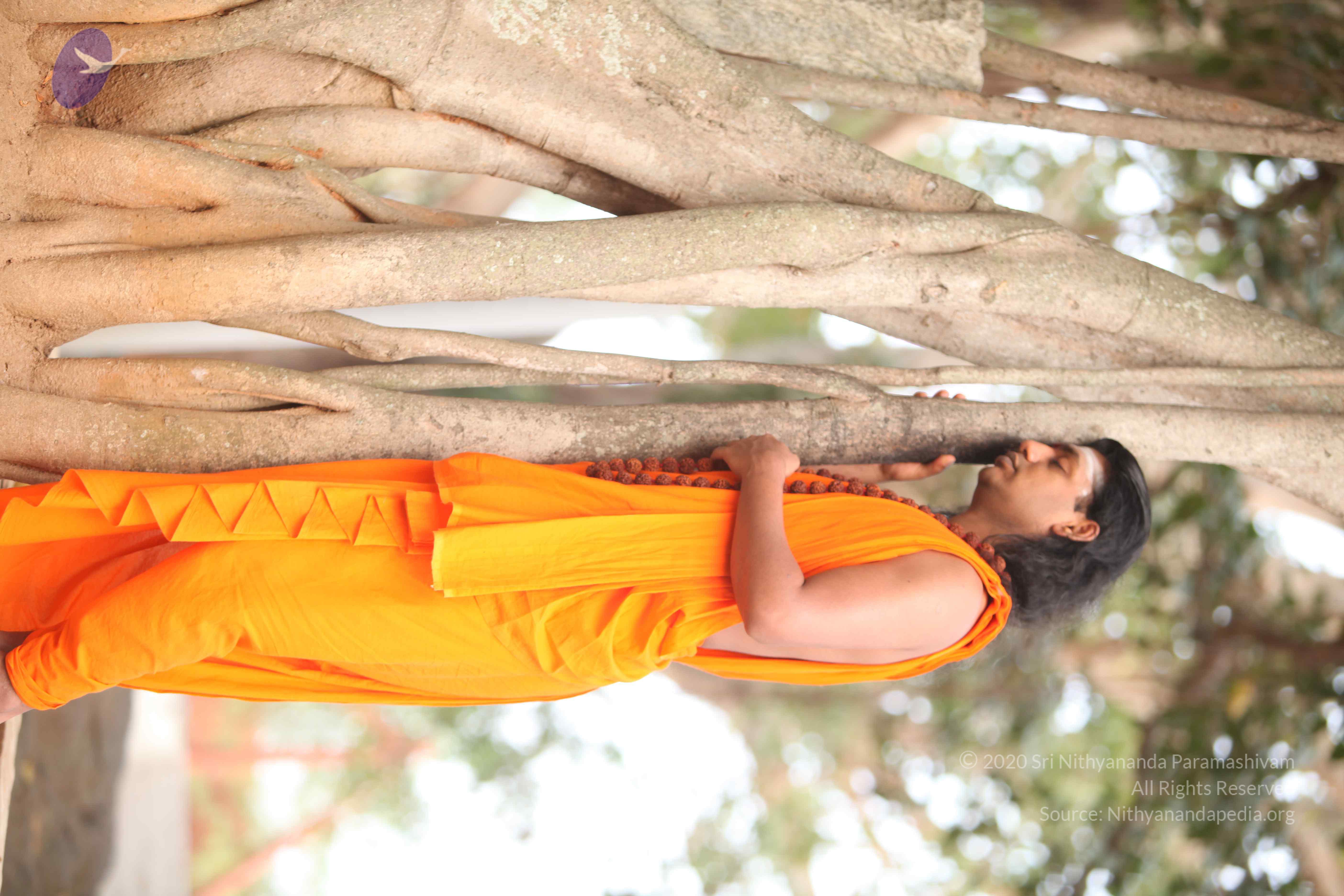 20110225_Photo_1043_IMG_1770_CMP_WM