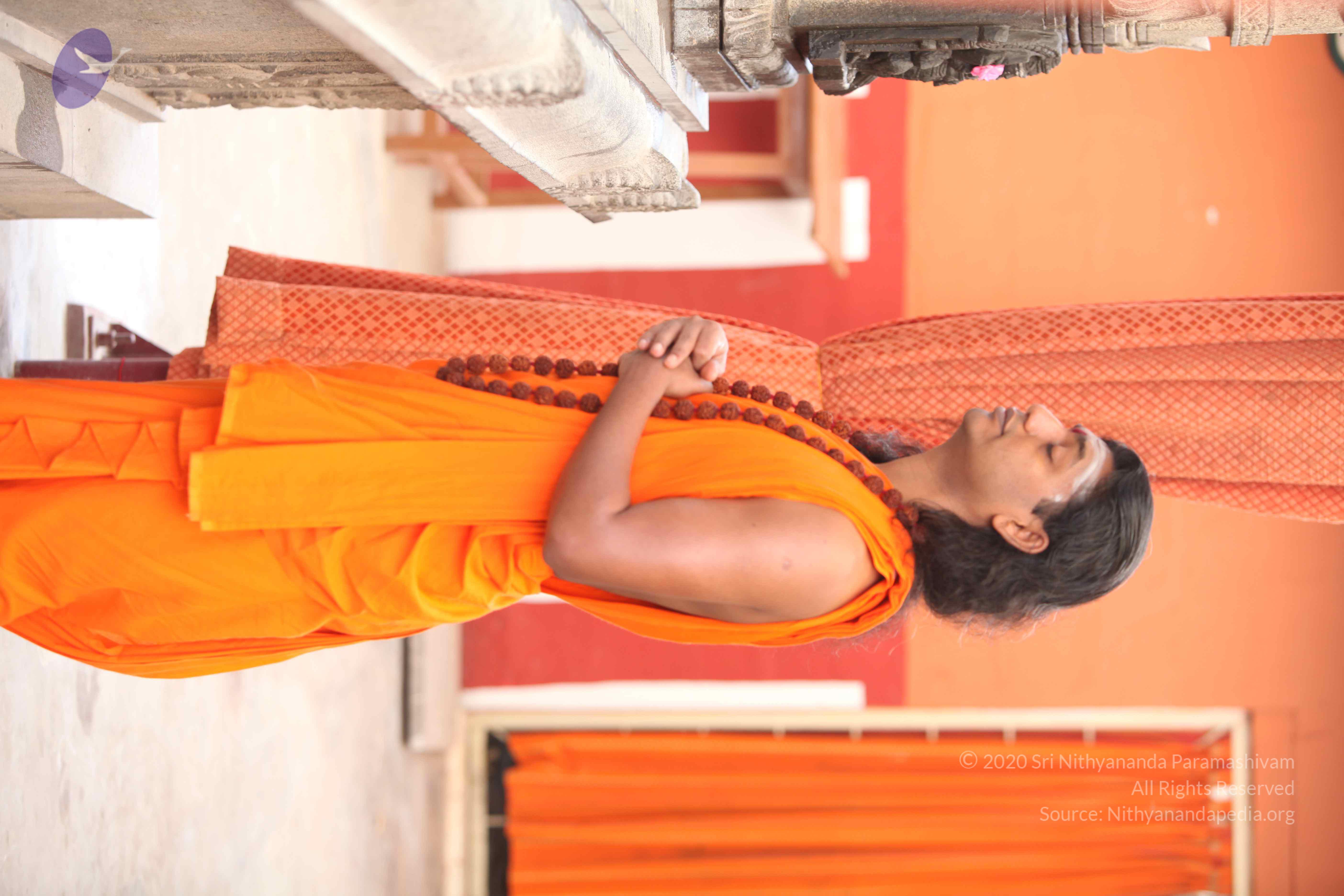 20110225_Photo_1053_IMG_1778_CMP_WM