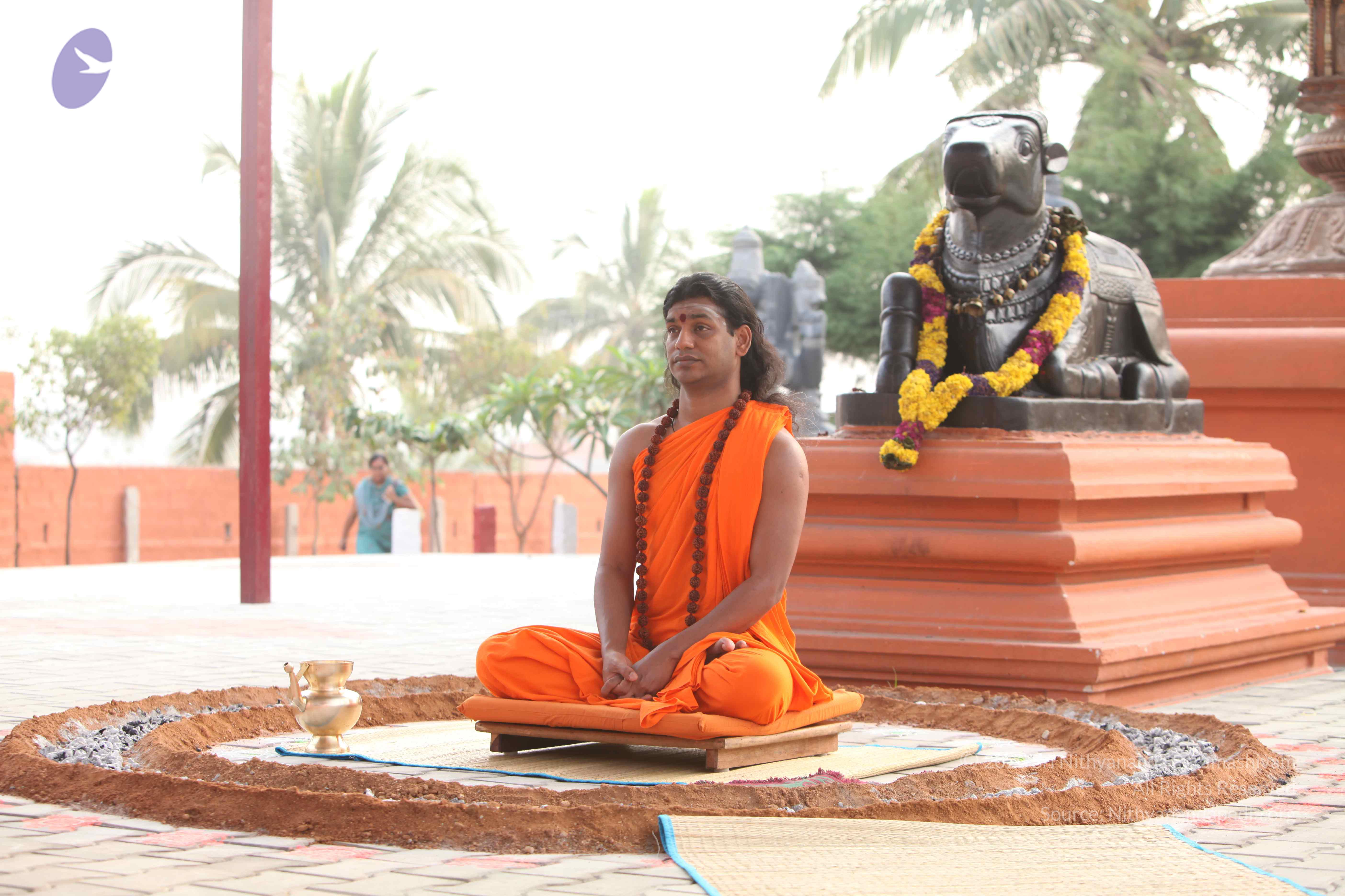 20110225_Photo_1058_IMG_1823_CMP_WM