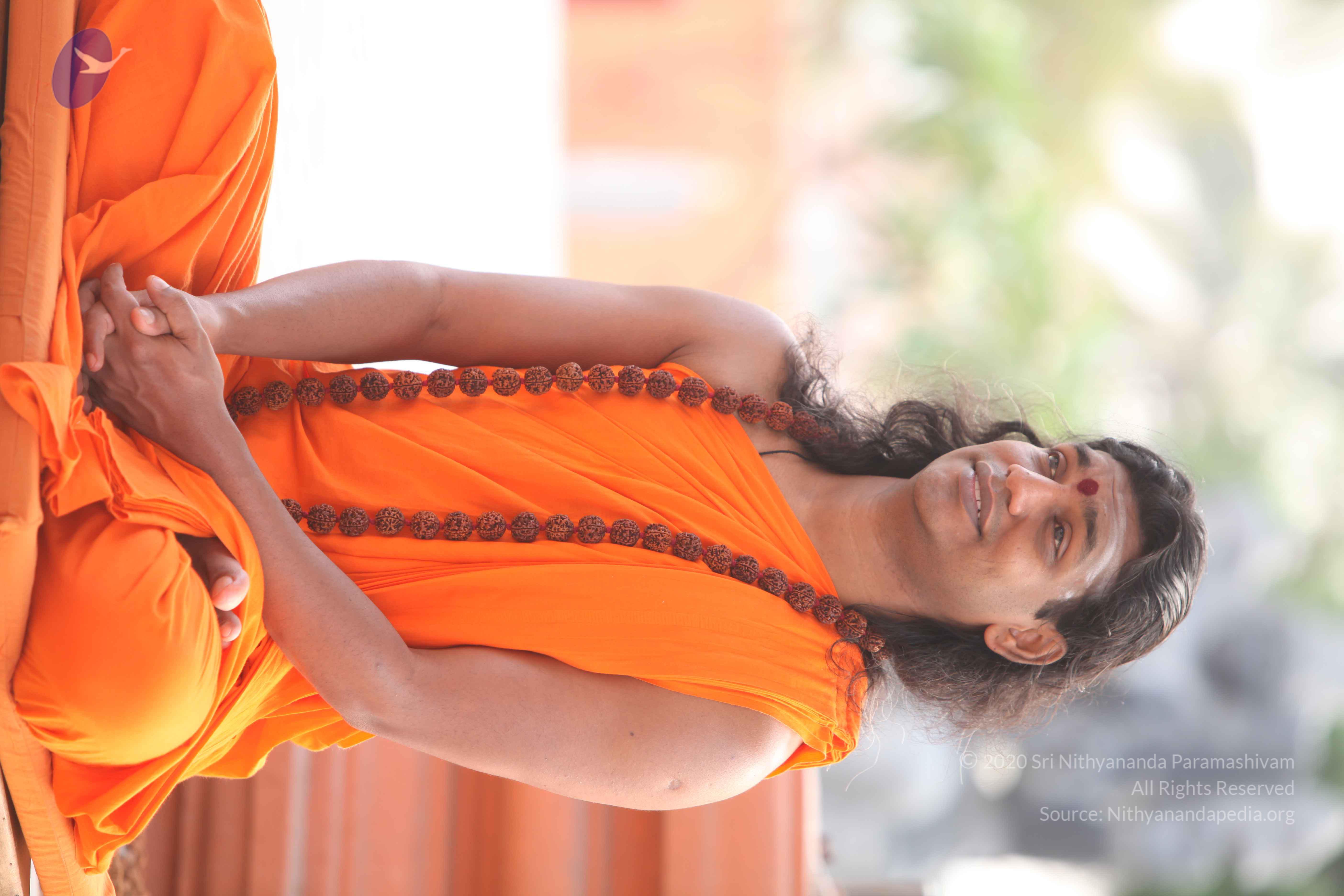 20110225_Photo_1059_IMG_1814_CMP_WM