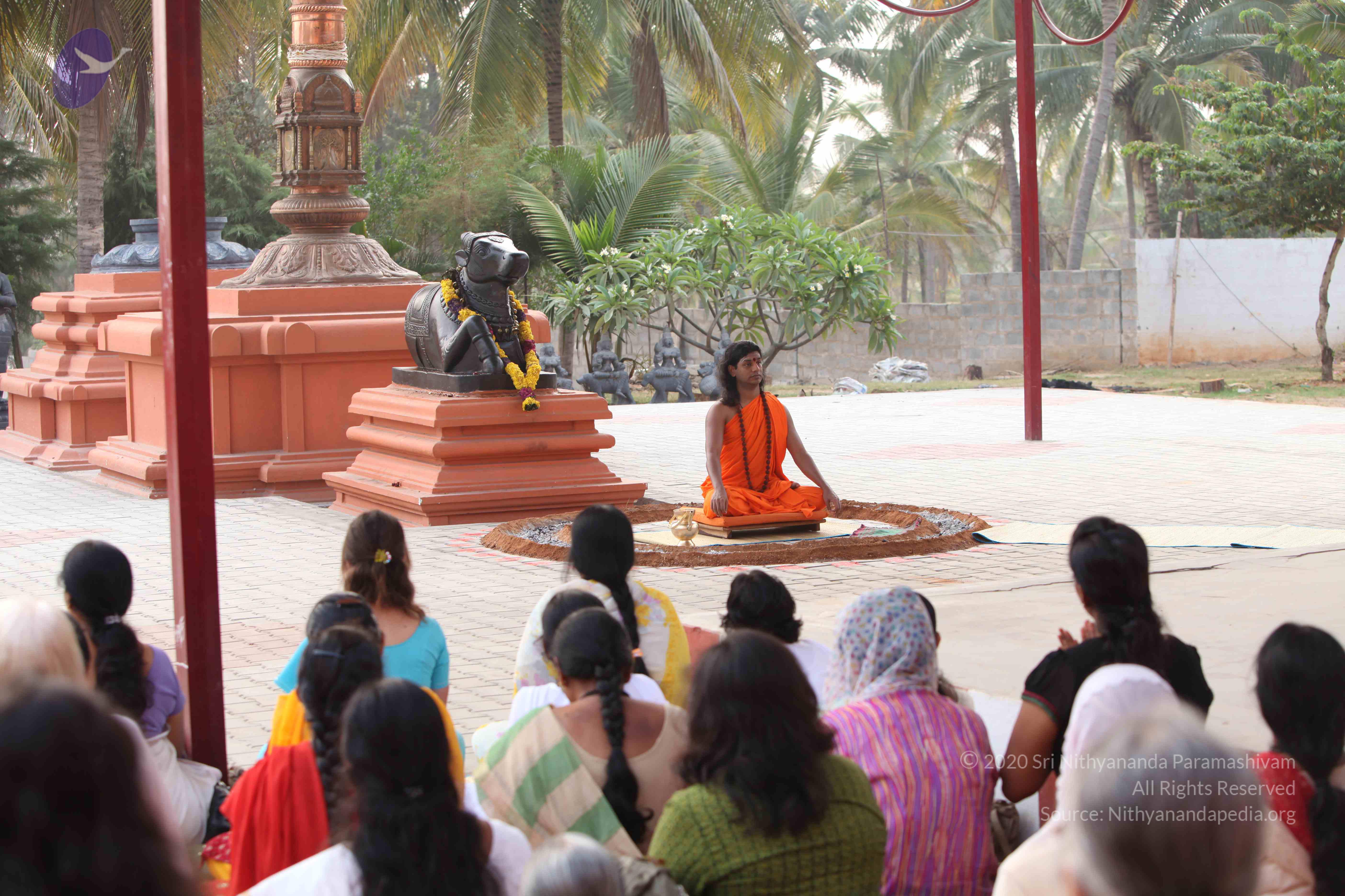 20110225_Photo_1060_IMG_1791_CMP_WM