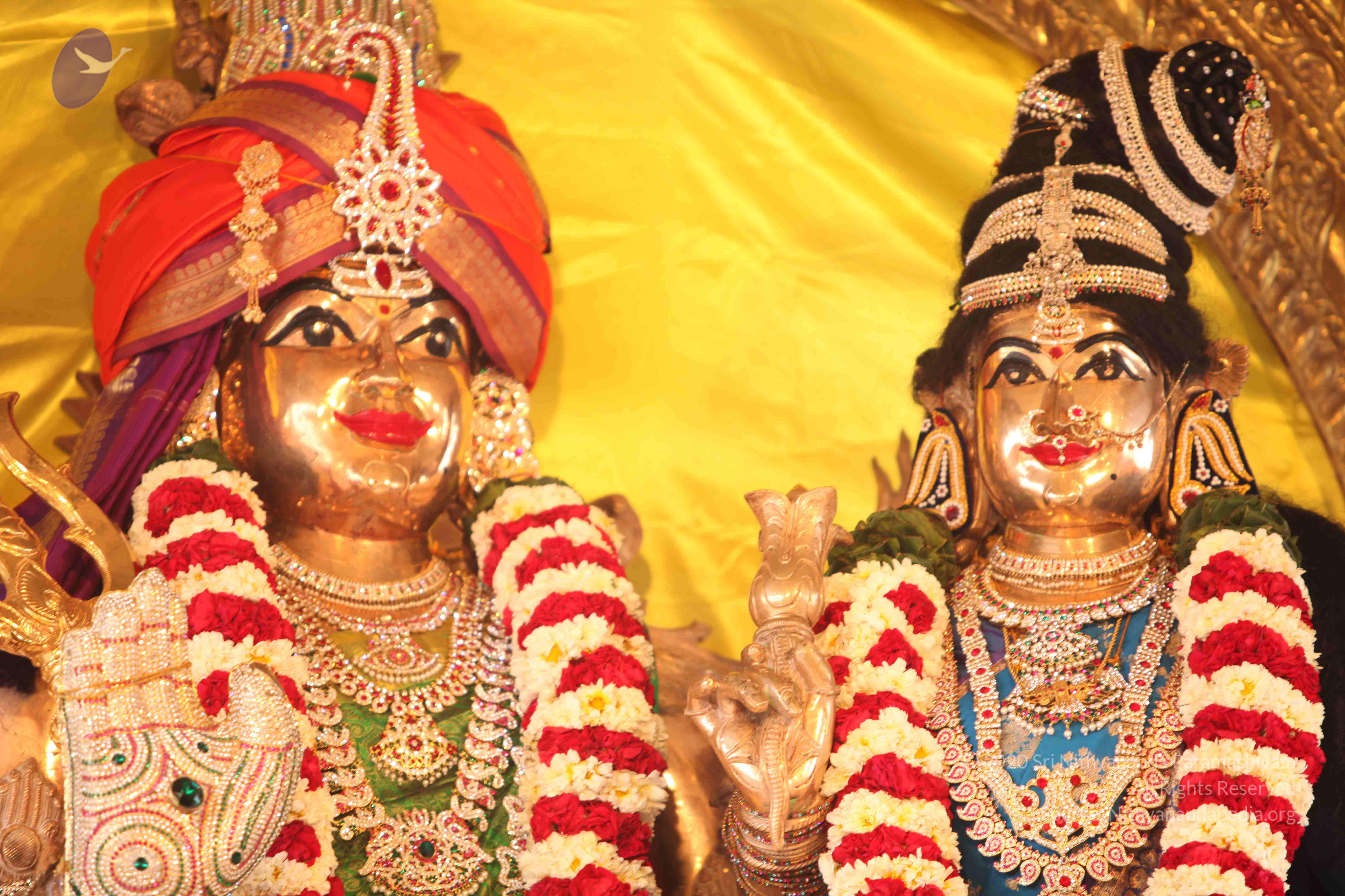 20110225_Photo_1061_IMG_1777_CMP_WM