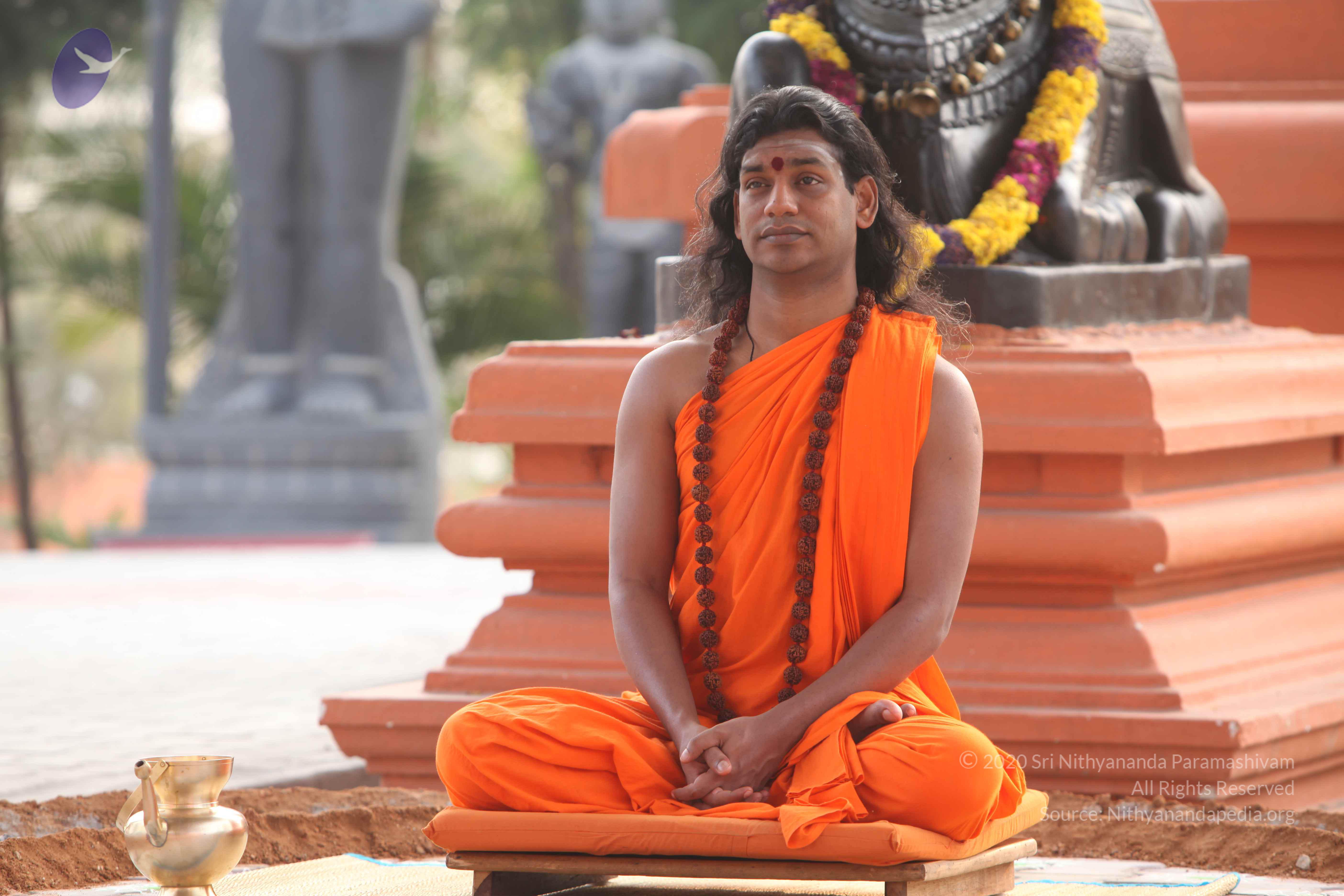 20110225_Photo_1064_IMG_1826_CMP_WM