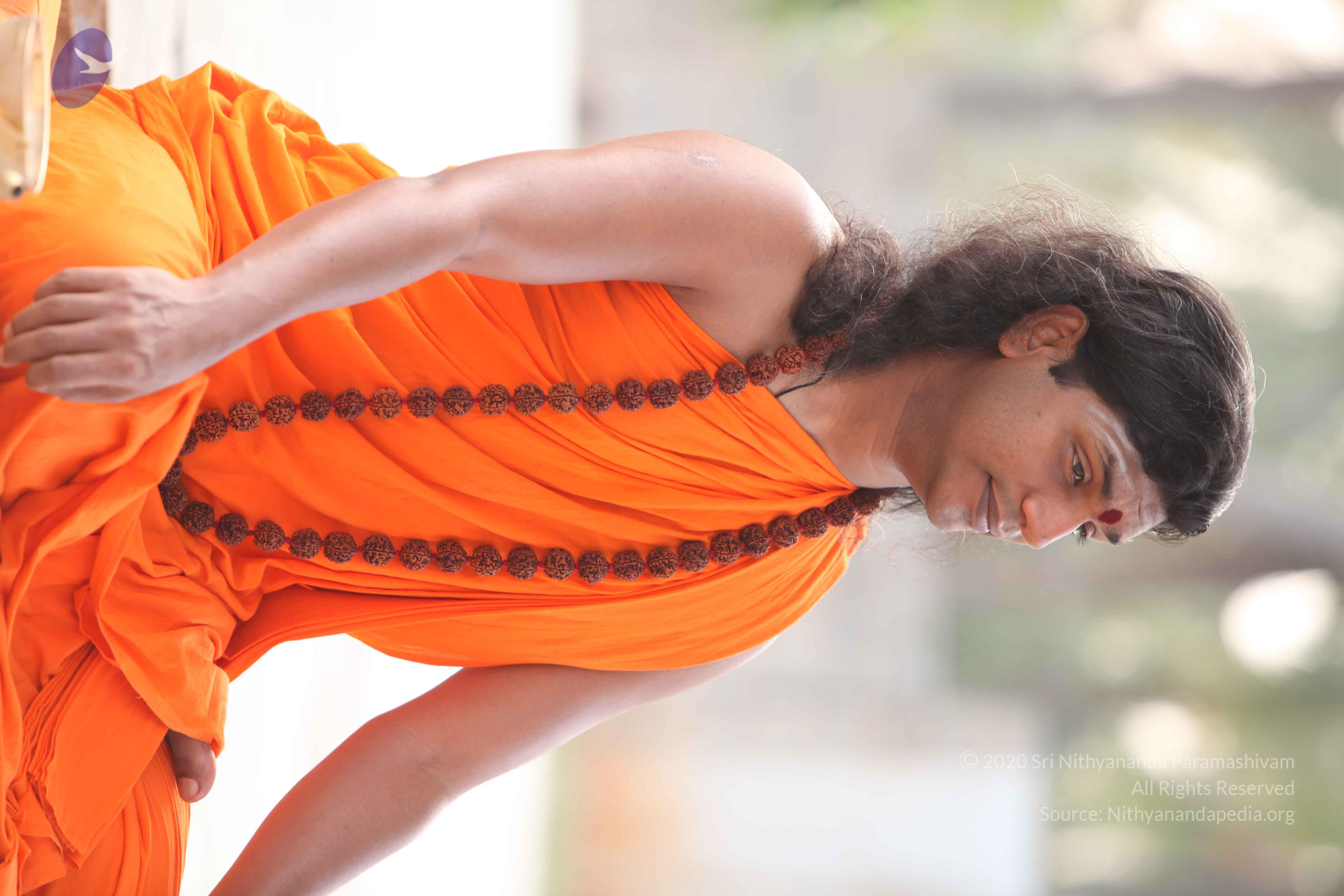 20110225_Photo_1067_IMG_1800_CMP_WM