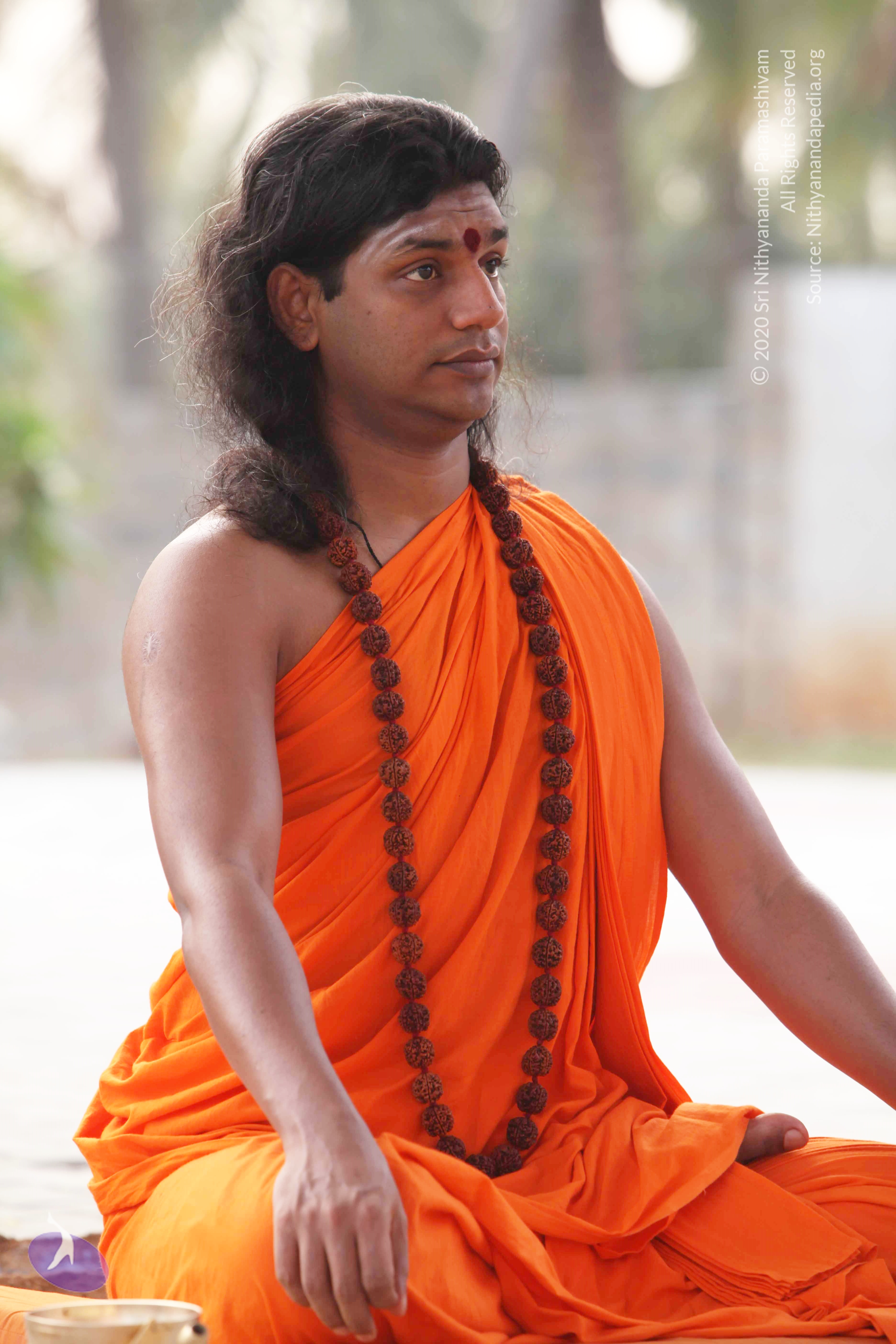 20110225_Photo_1068_IMG_1799_CMP_WM