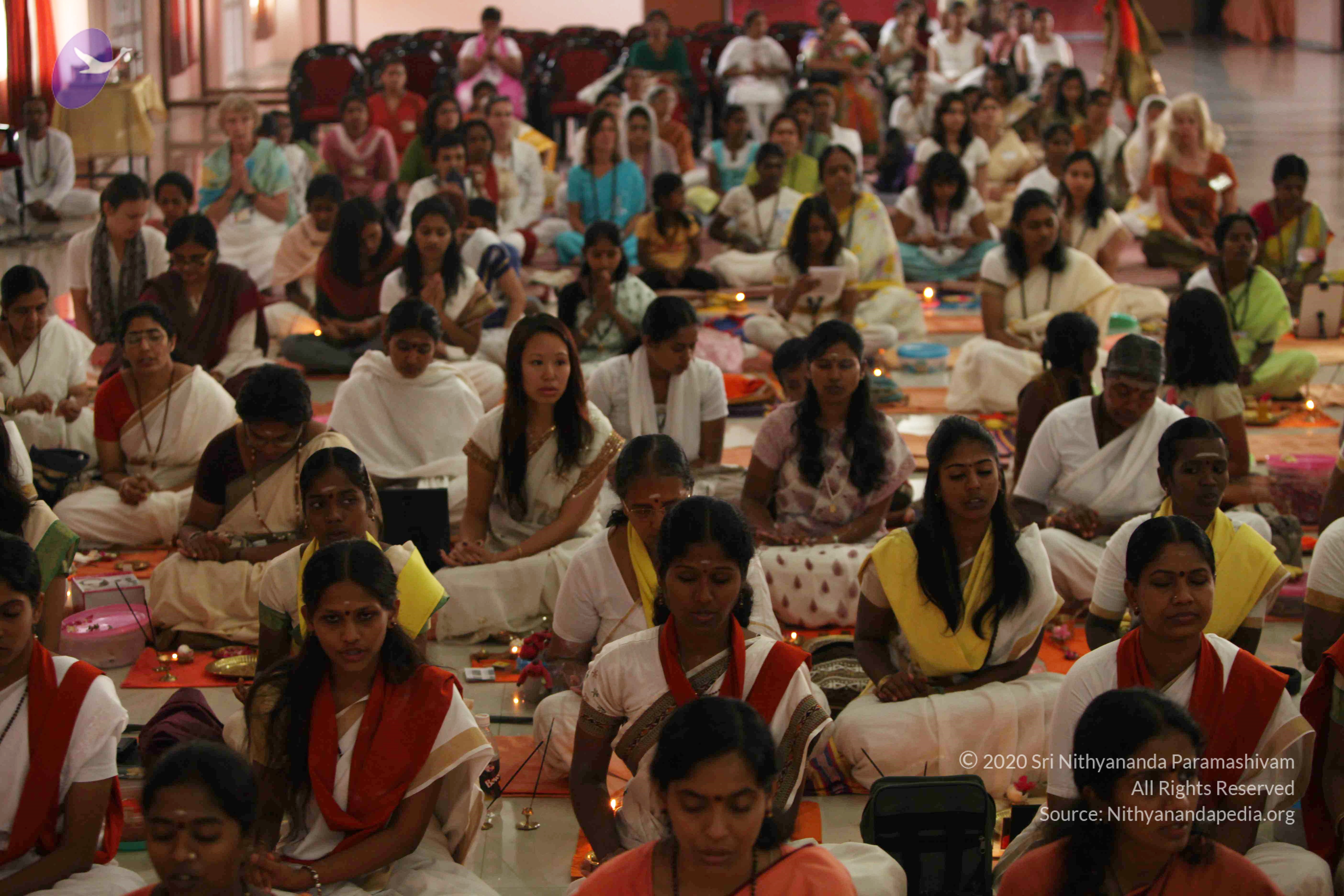 20110225_Photo_1000_IMG_1847_CMP_WM