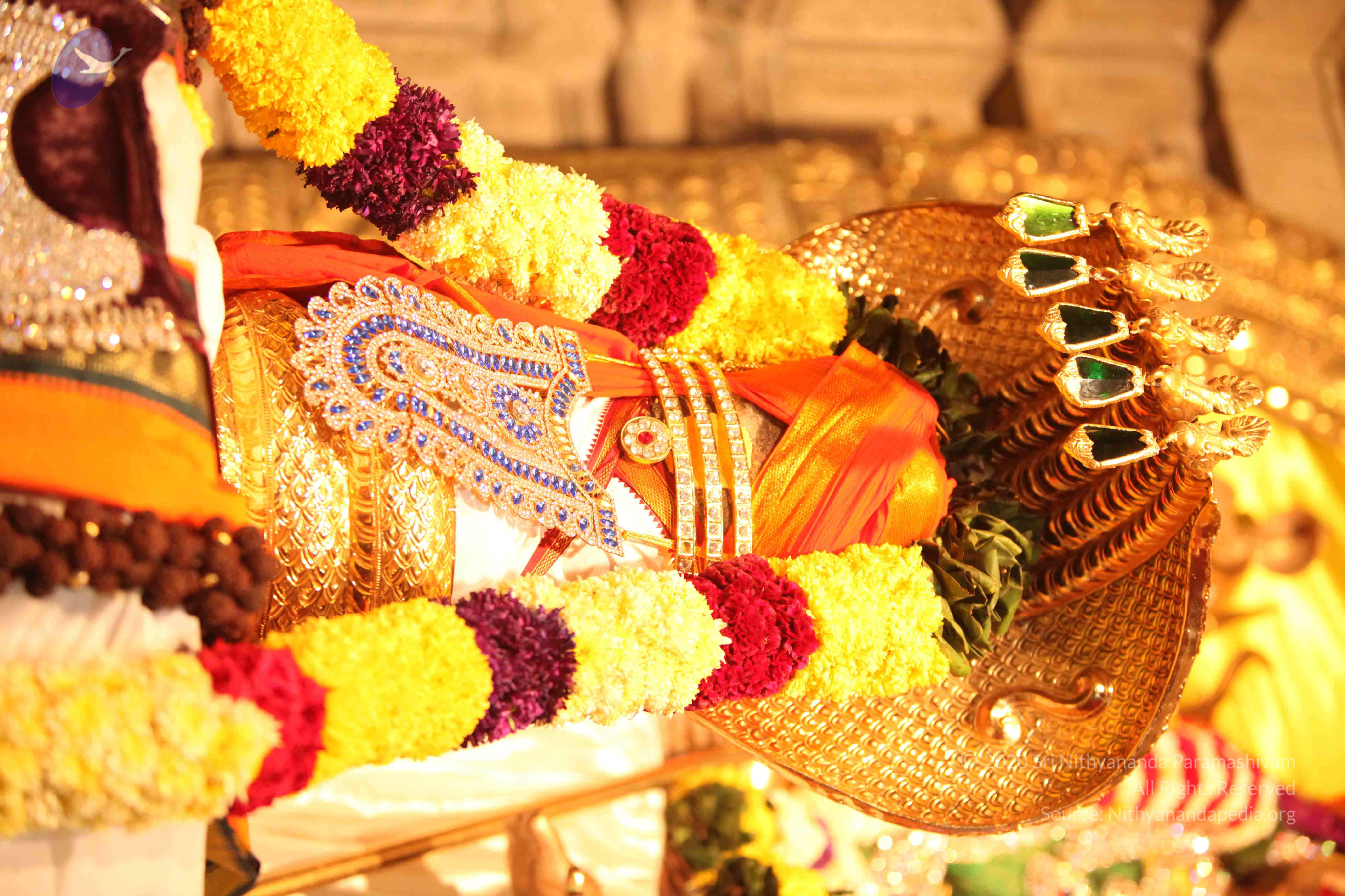 20110225_Photo_1005_IMG_1735_CMP_WM