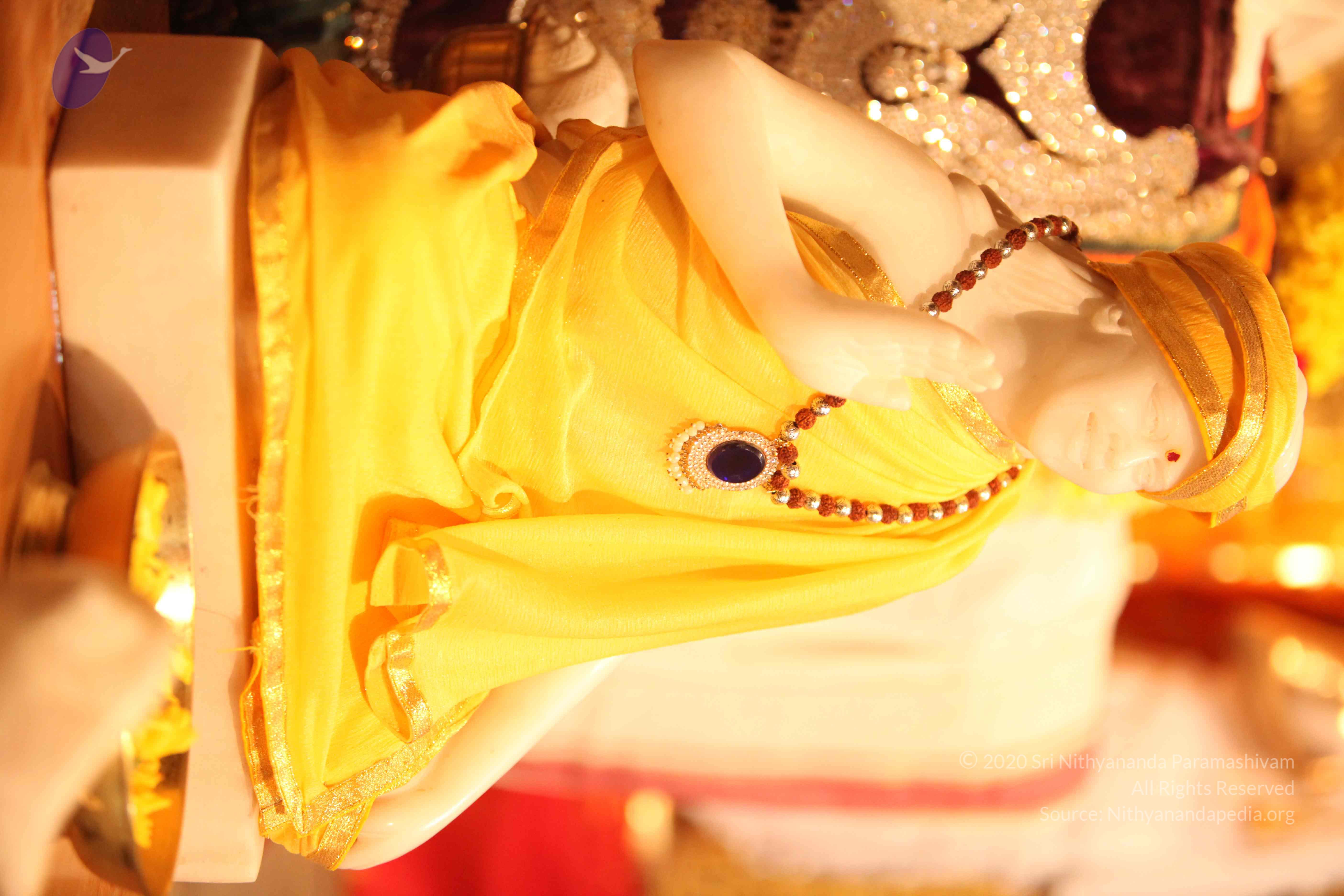 20110225_Photo_1008_IMG_1729_CMP_WM