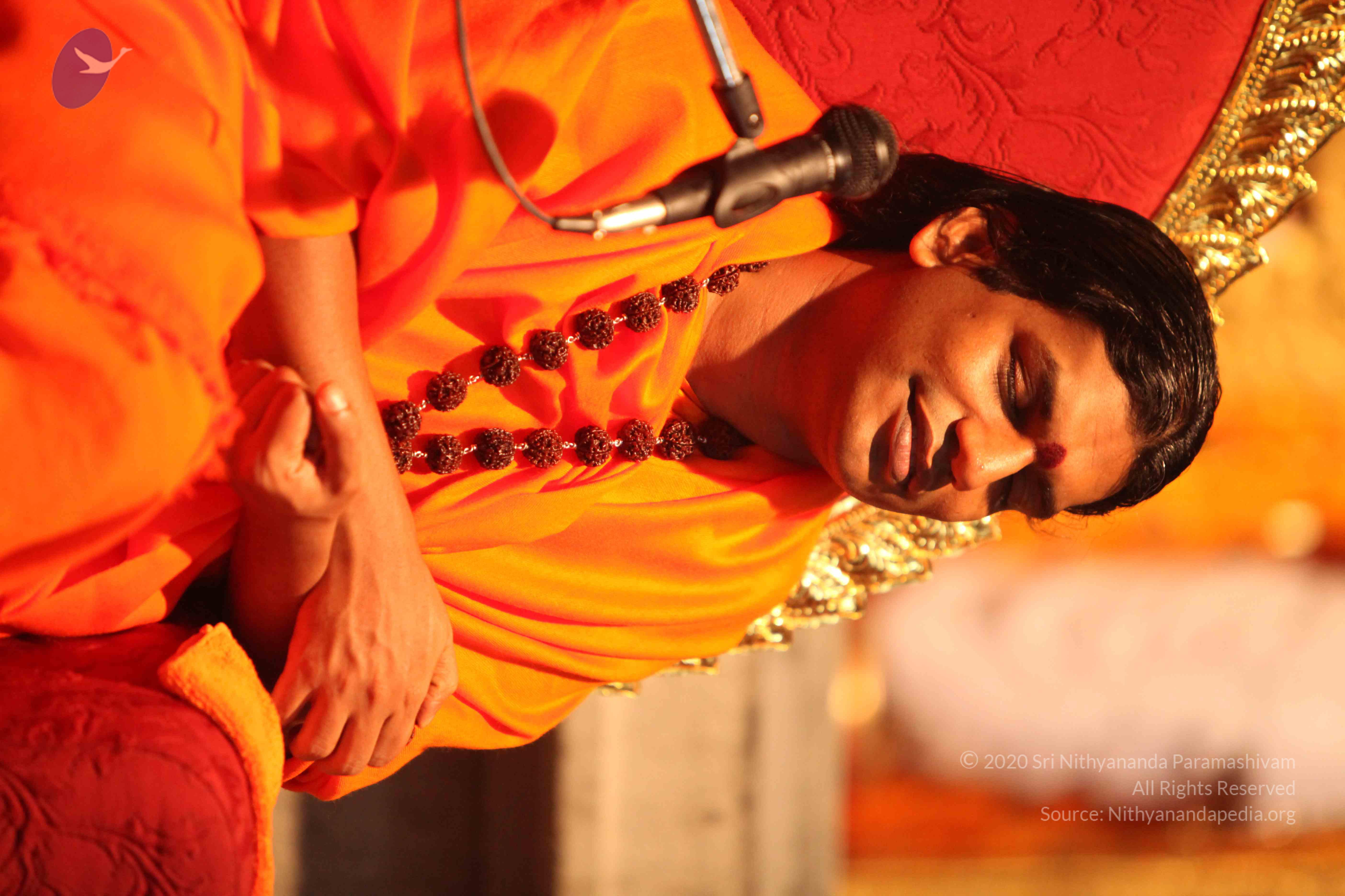 20110225_Photo_1032_IMG_1687_CMP_WM