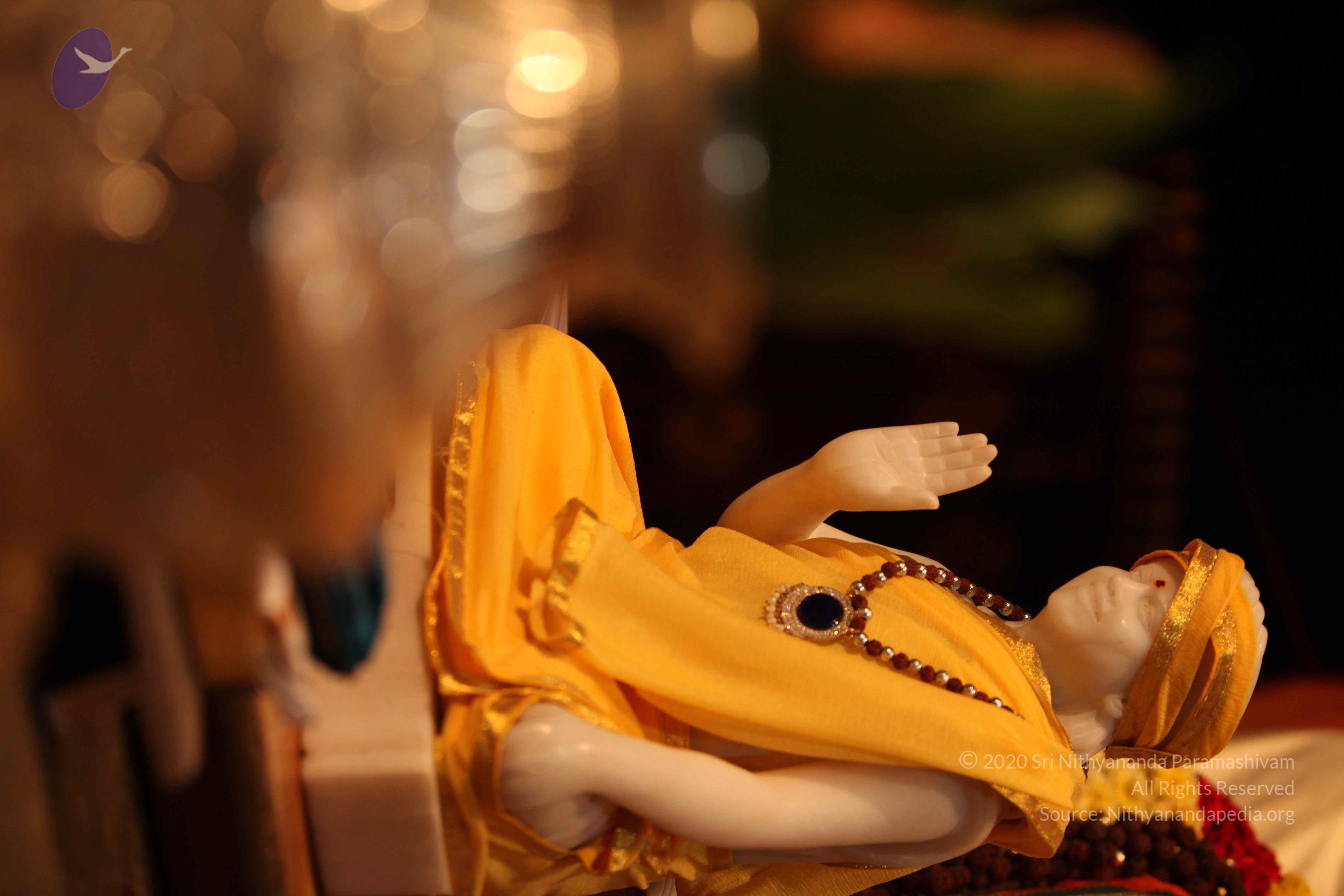 20110225_Photo_1033_IMG_1739_CMP_WM