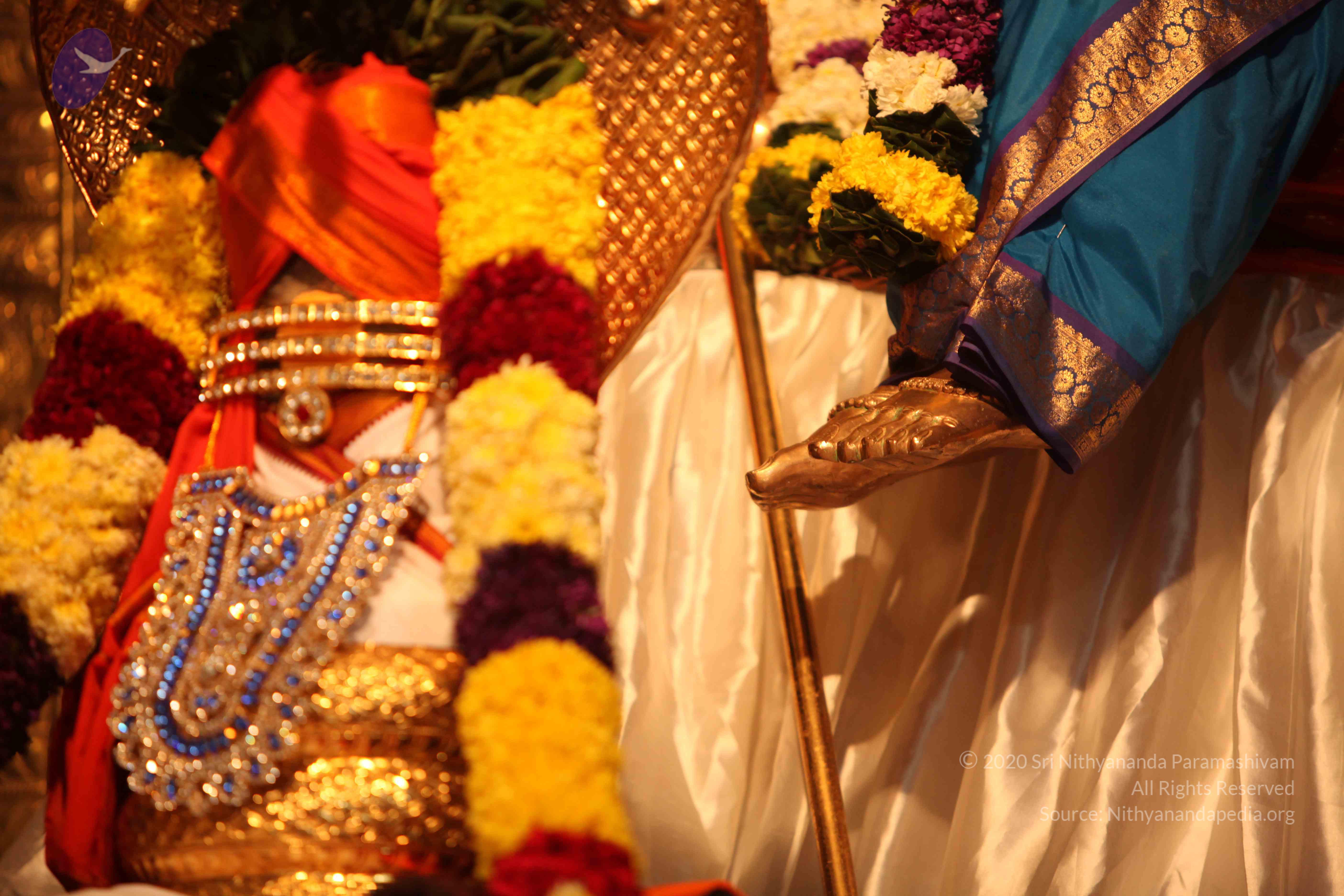 20110225_Photo_1034_IMG_1747_CMP_WM