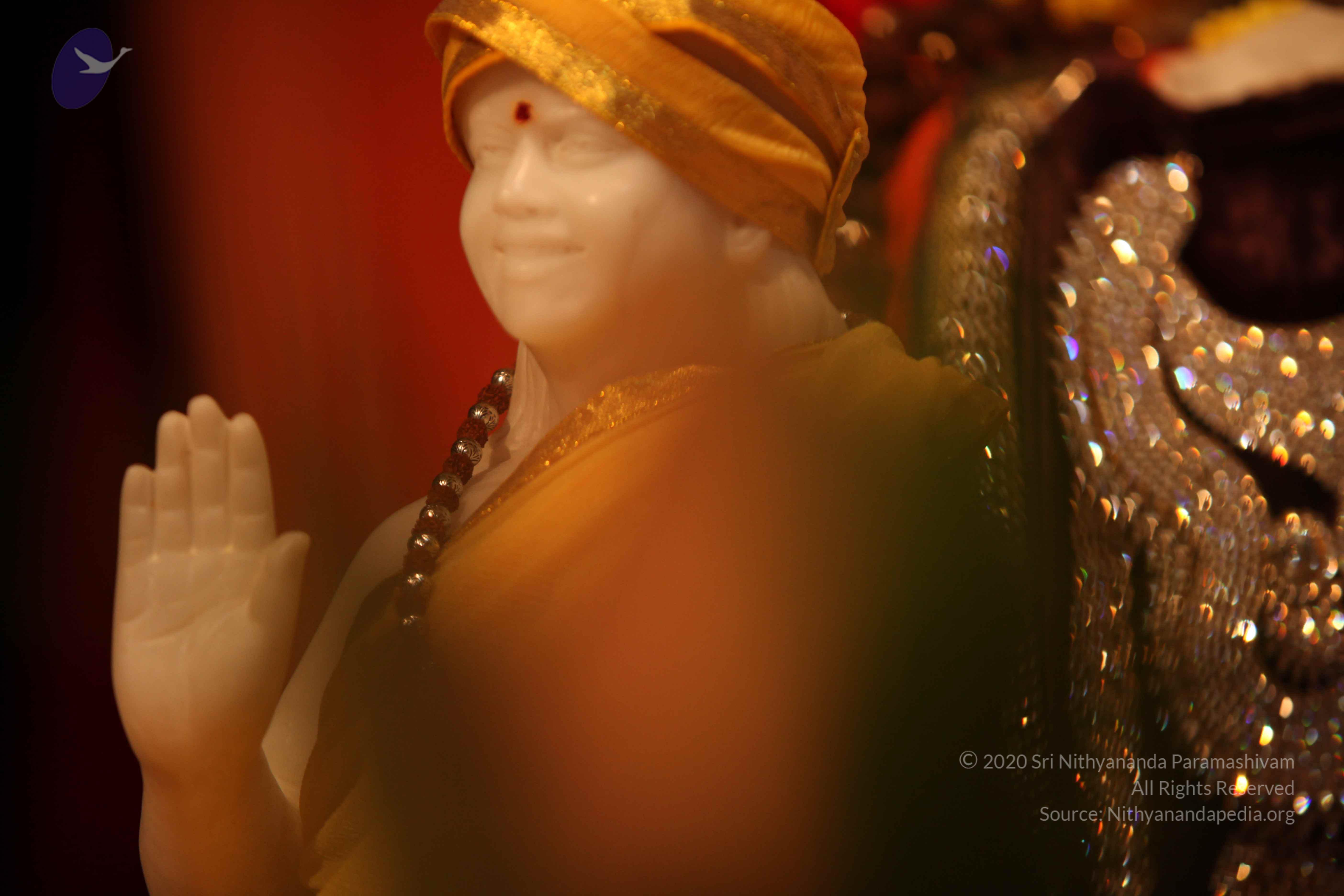 20110225_Photo_1037_IMG_1742_CMP_WM