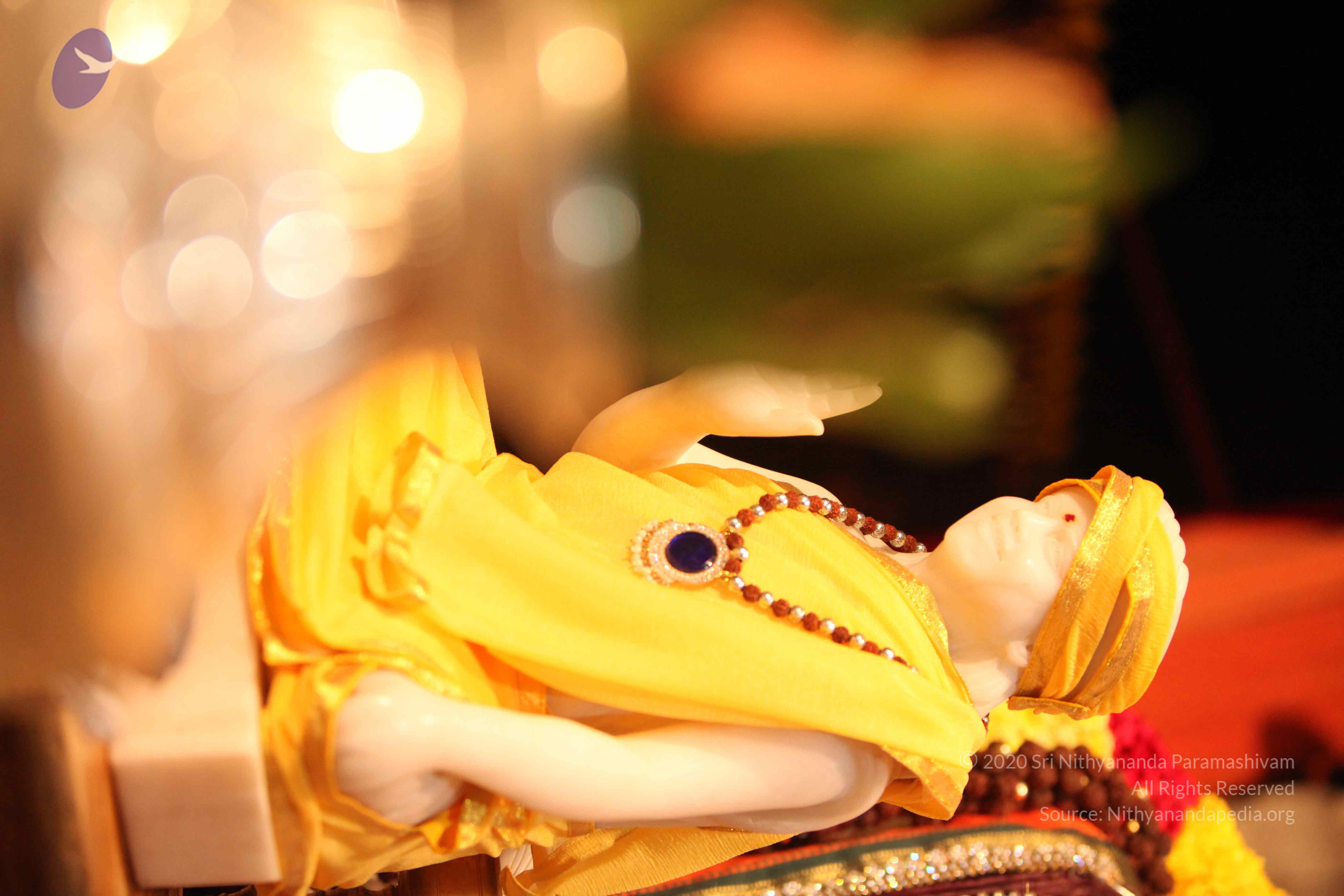 20110225_Photo_1041_IMG_1731_CMP_WM