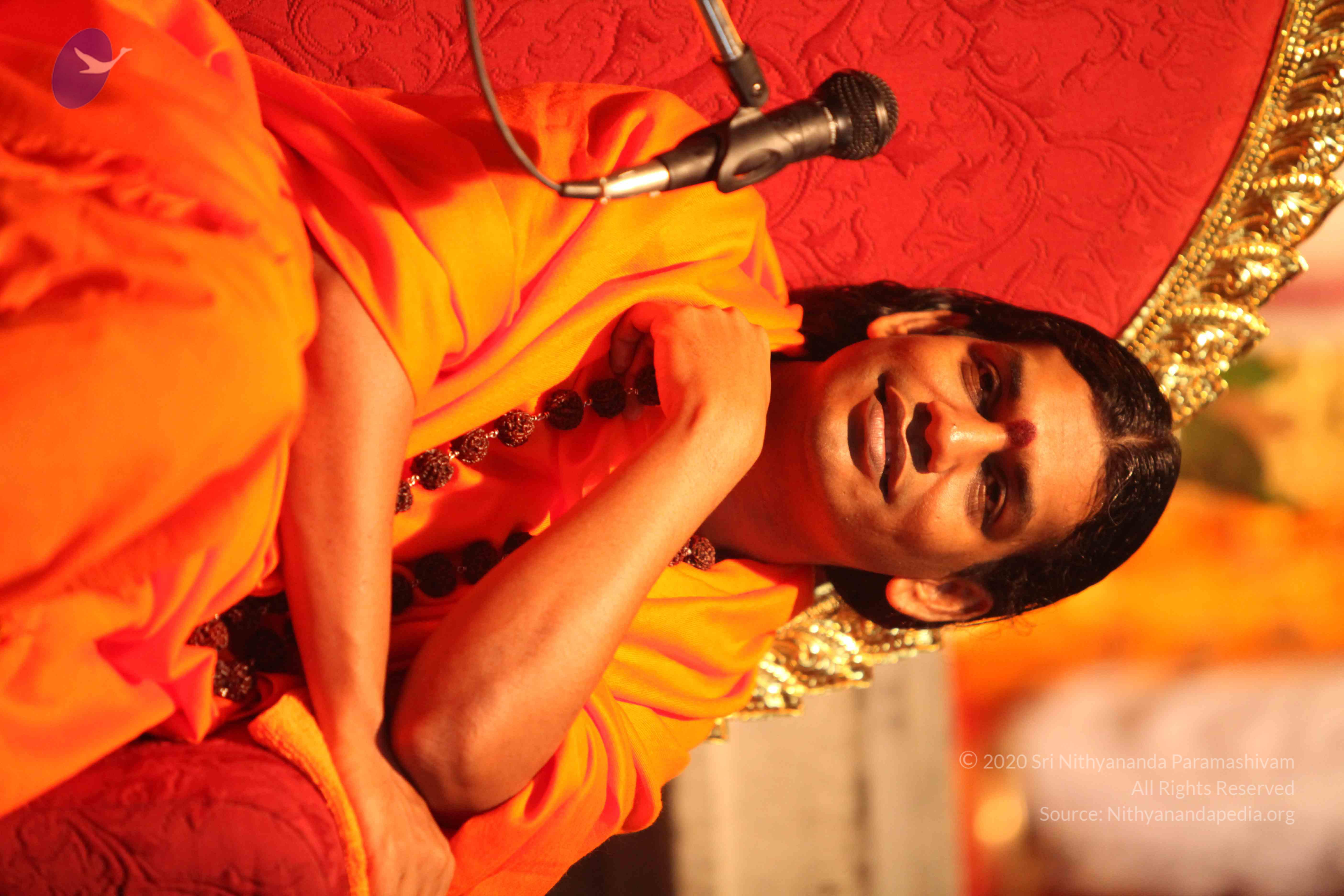 20110225_Photo_1043_IMG_1701_CMP_WM