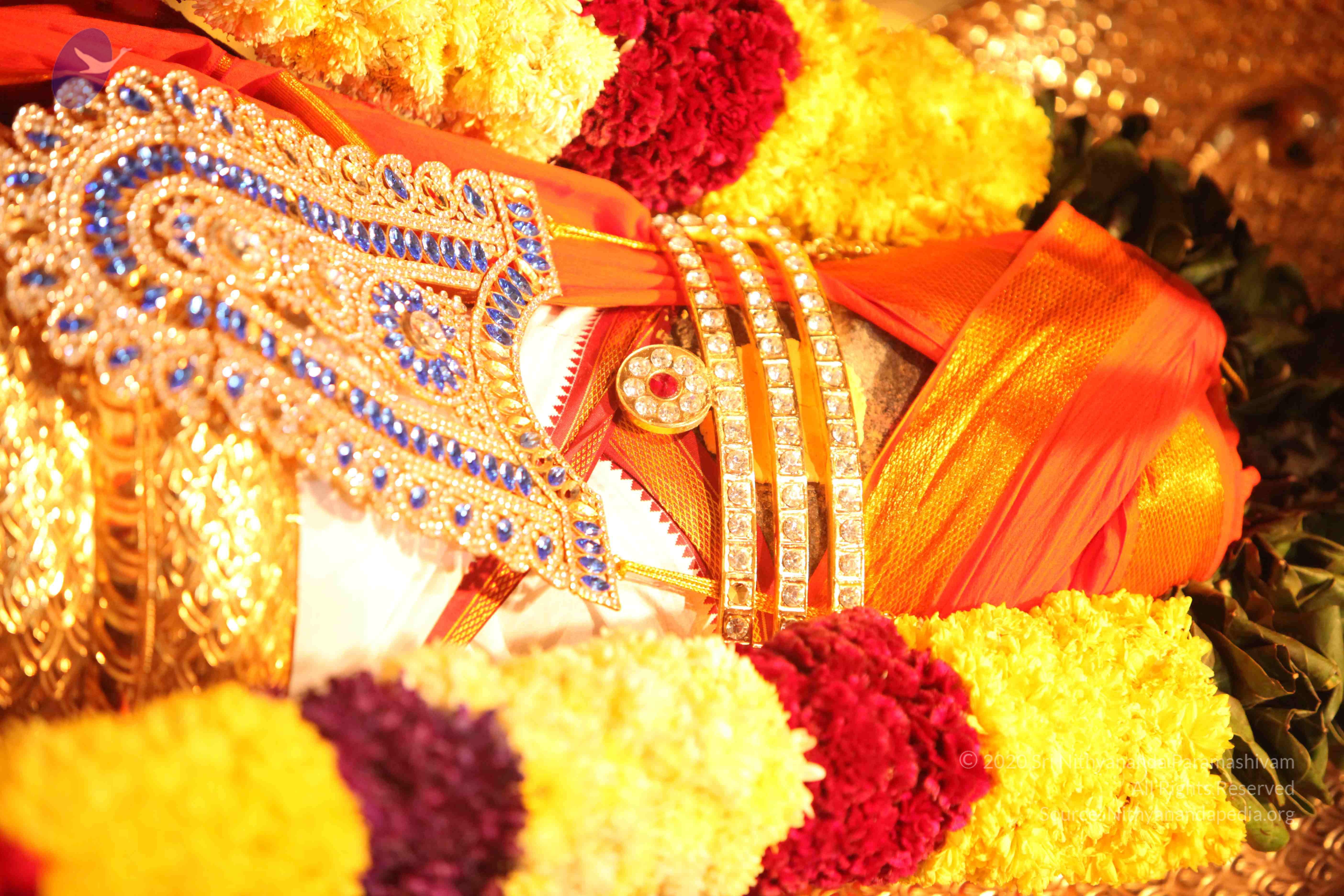 20110225_Photo_1044_IMG_1736_CMP_WM