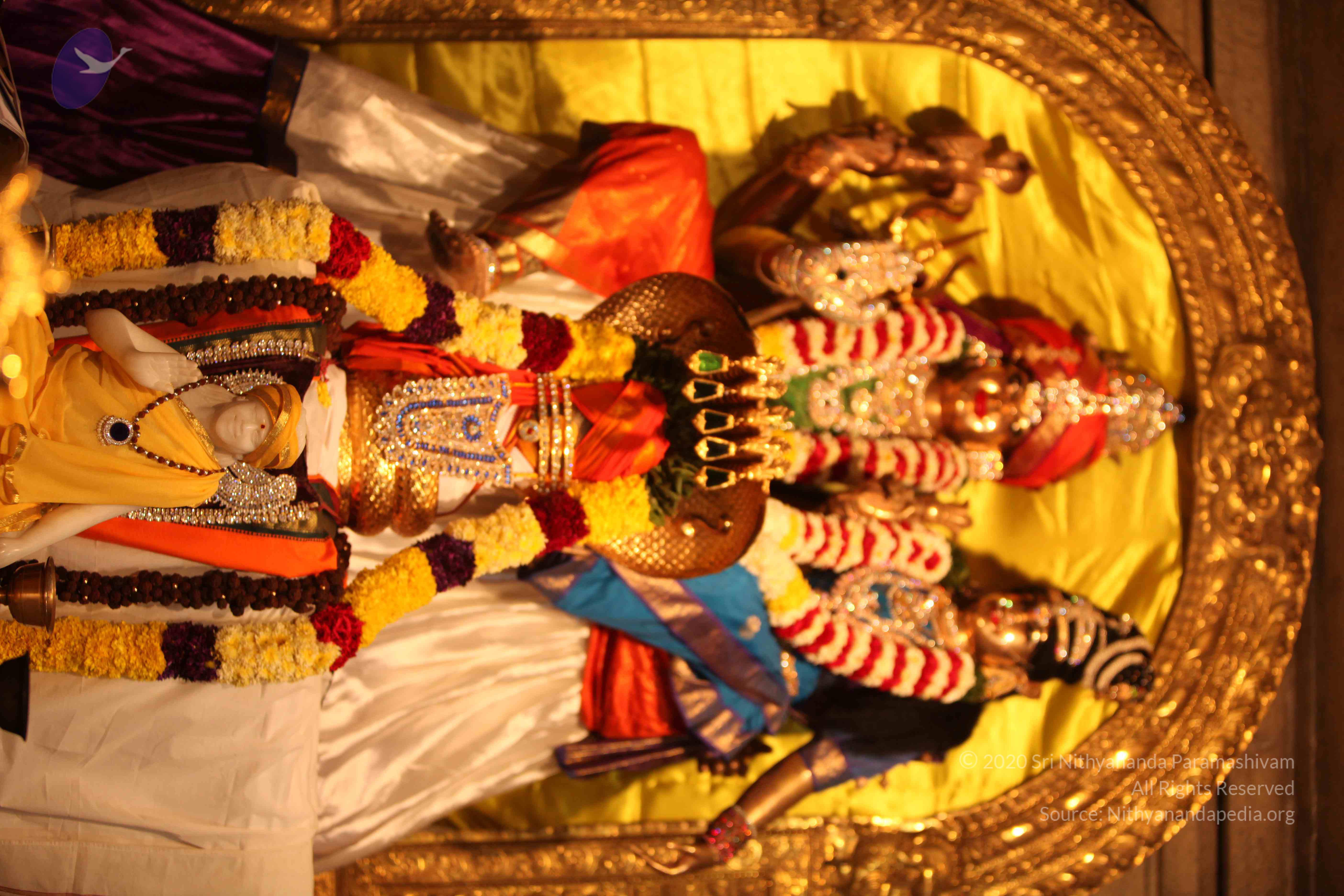 20110225_Photo_1047_IMG_1745_CMP_WM