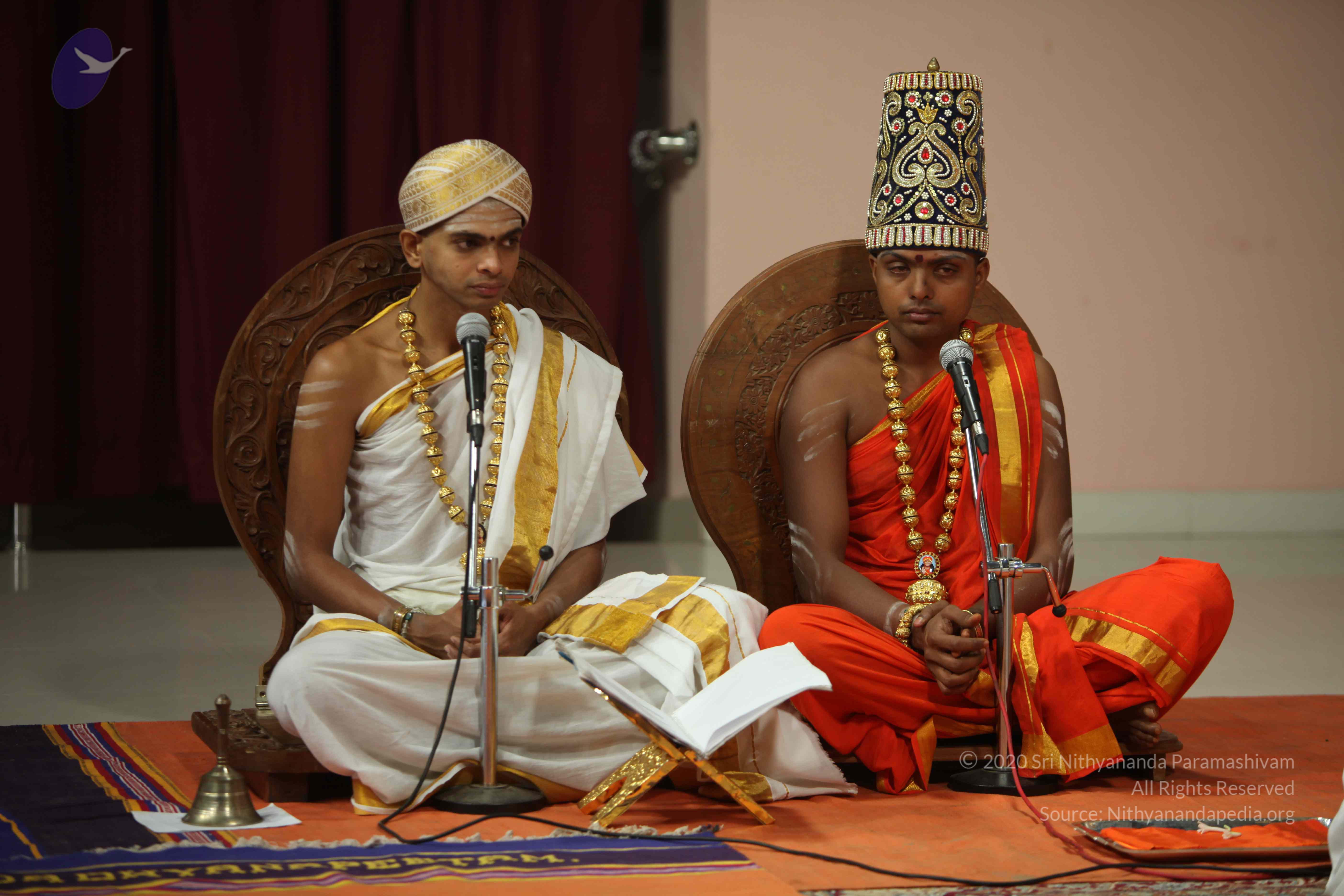 20110225_Photo_1000_IMG_0950_CMP_WM