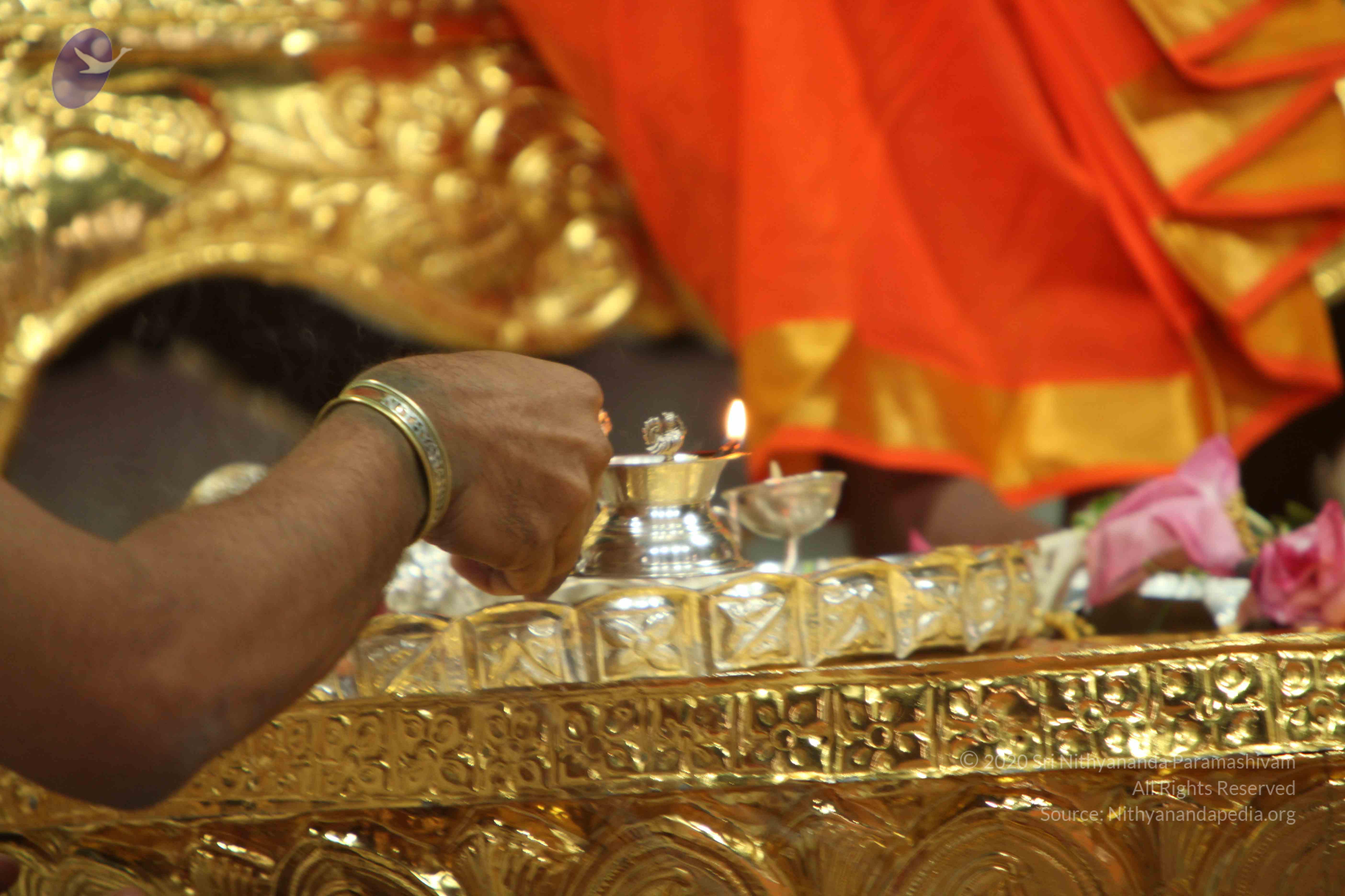 20110225_Photo_1009_IMG_1021_CMP_WM