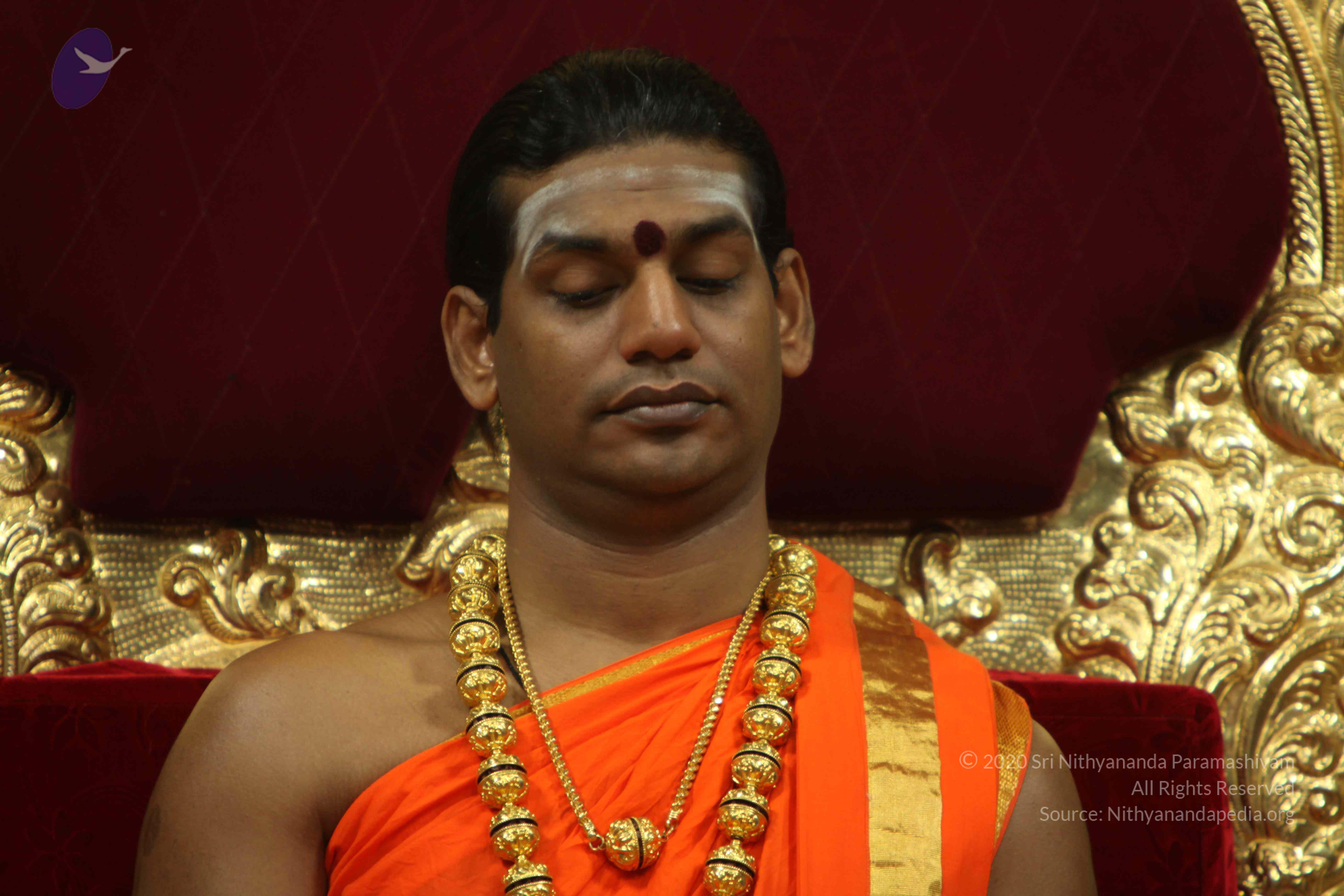 20110225_Photo_1012_IMG_0984_CMP_WM