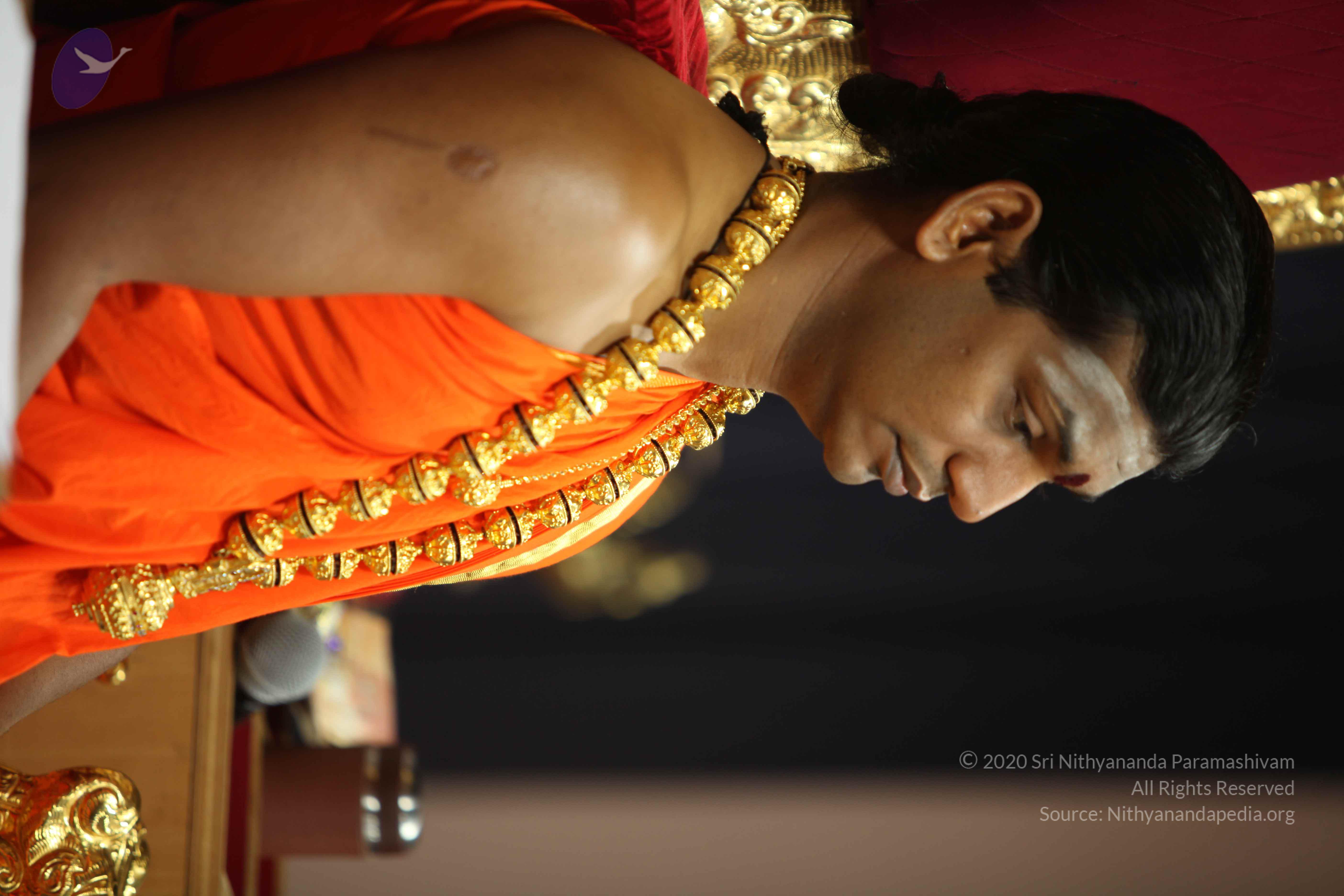 20110225_Photo_1023_IMG_0914_CMP_WM