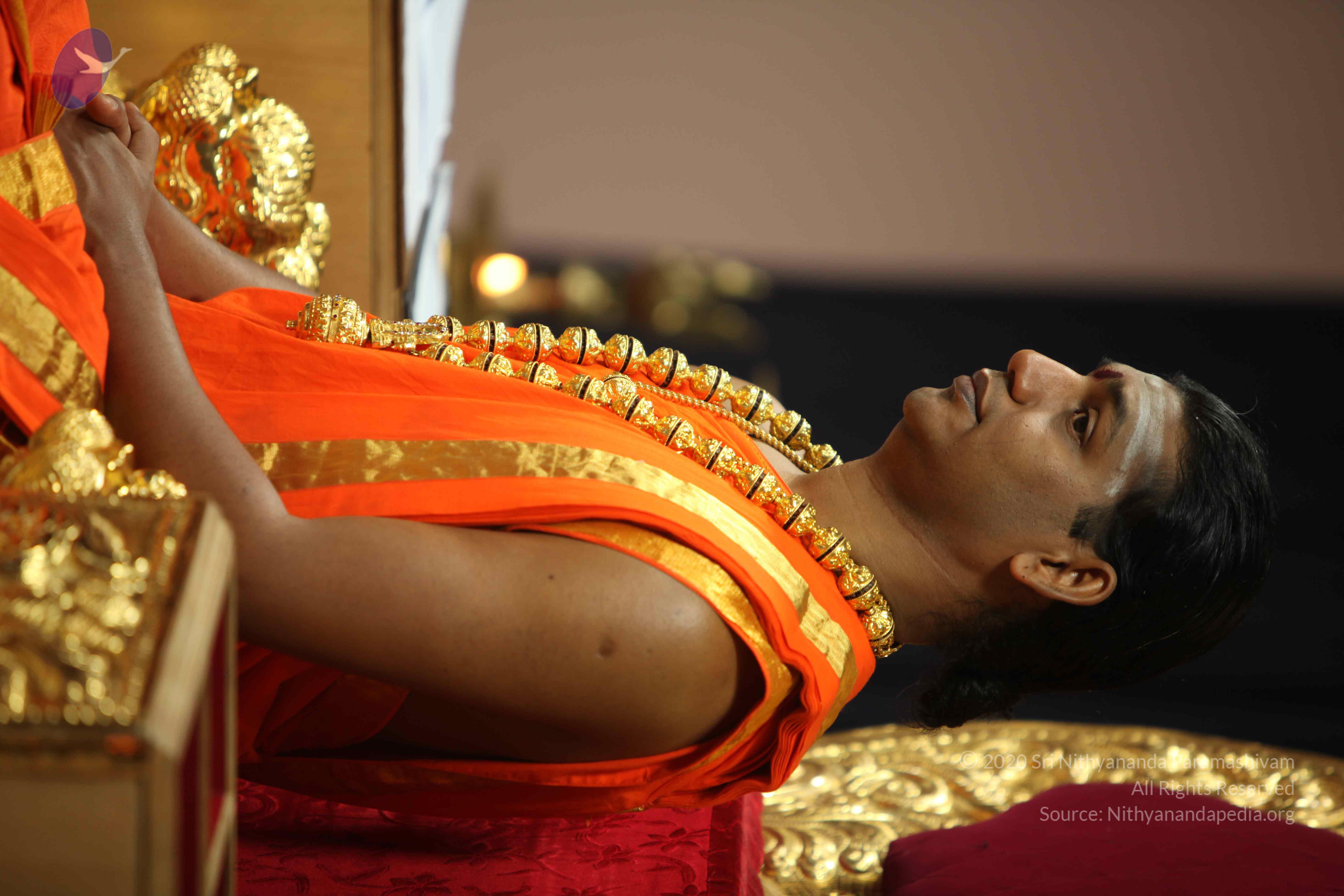 20110225_Photo_1028_IMG_0958_CMP_WM