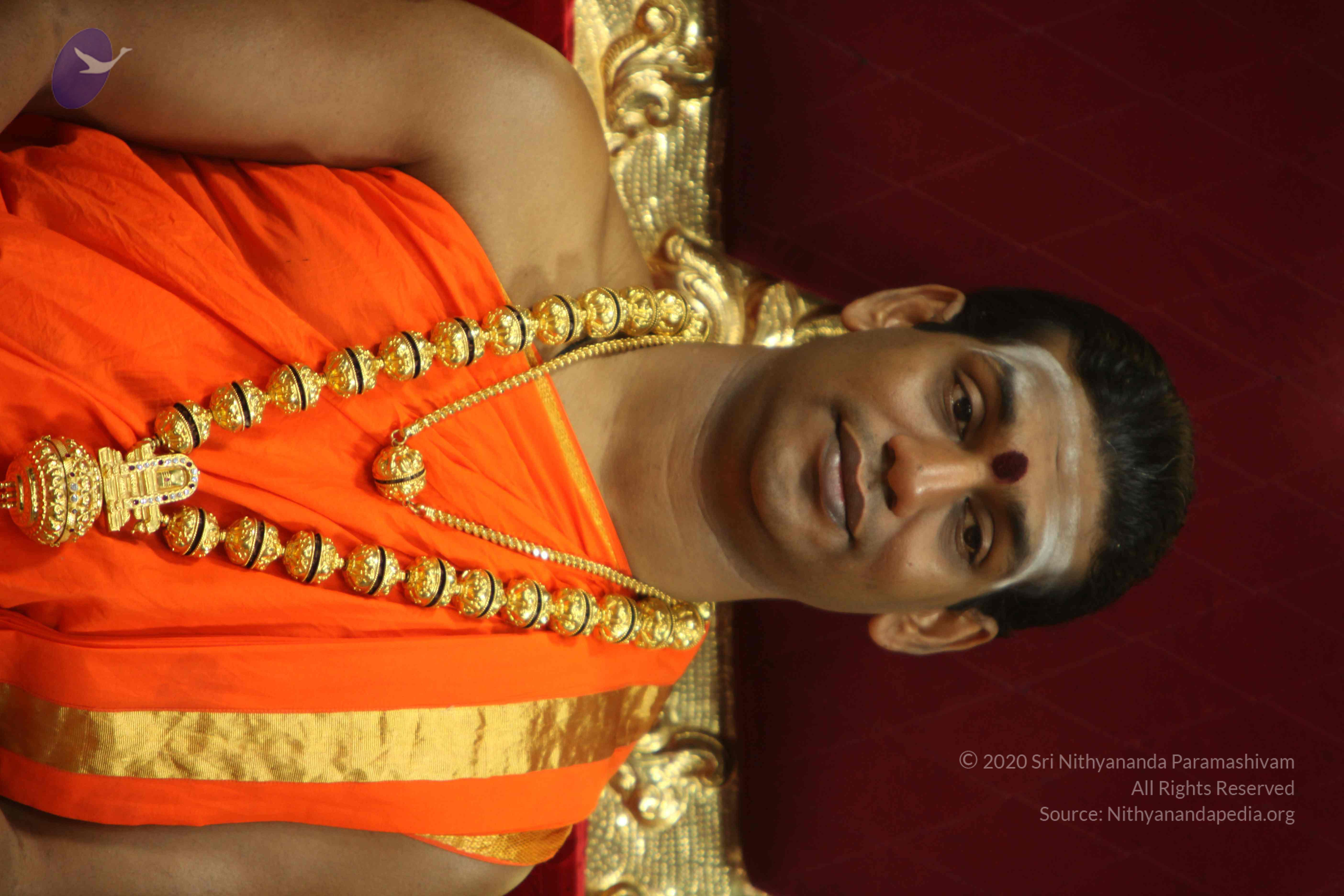 20110225_Photo_1033_IMG_1035_CMP_WM