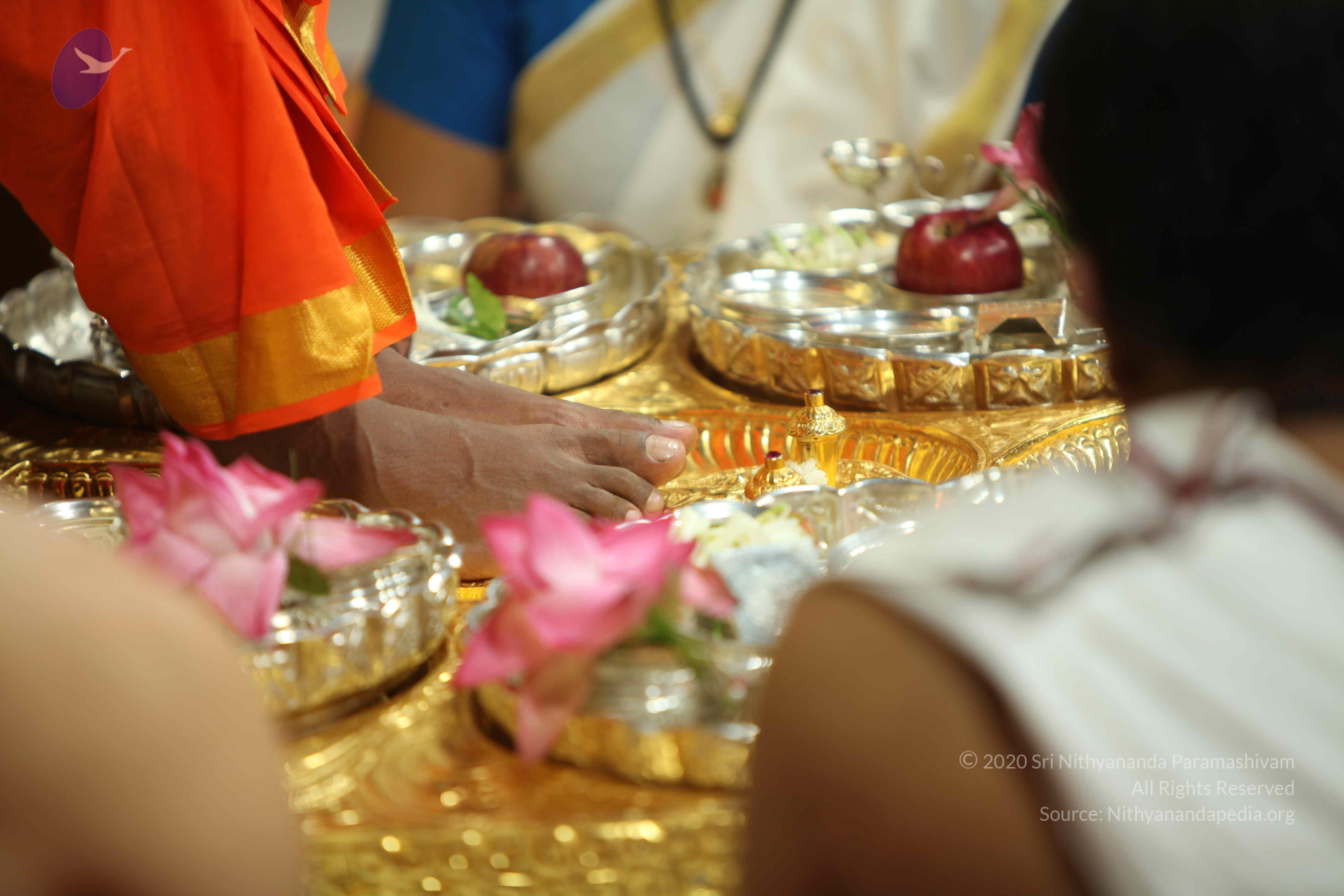 20110225_Photo_1036_IMG_0911_CMP_WM