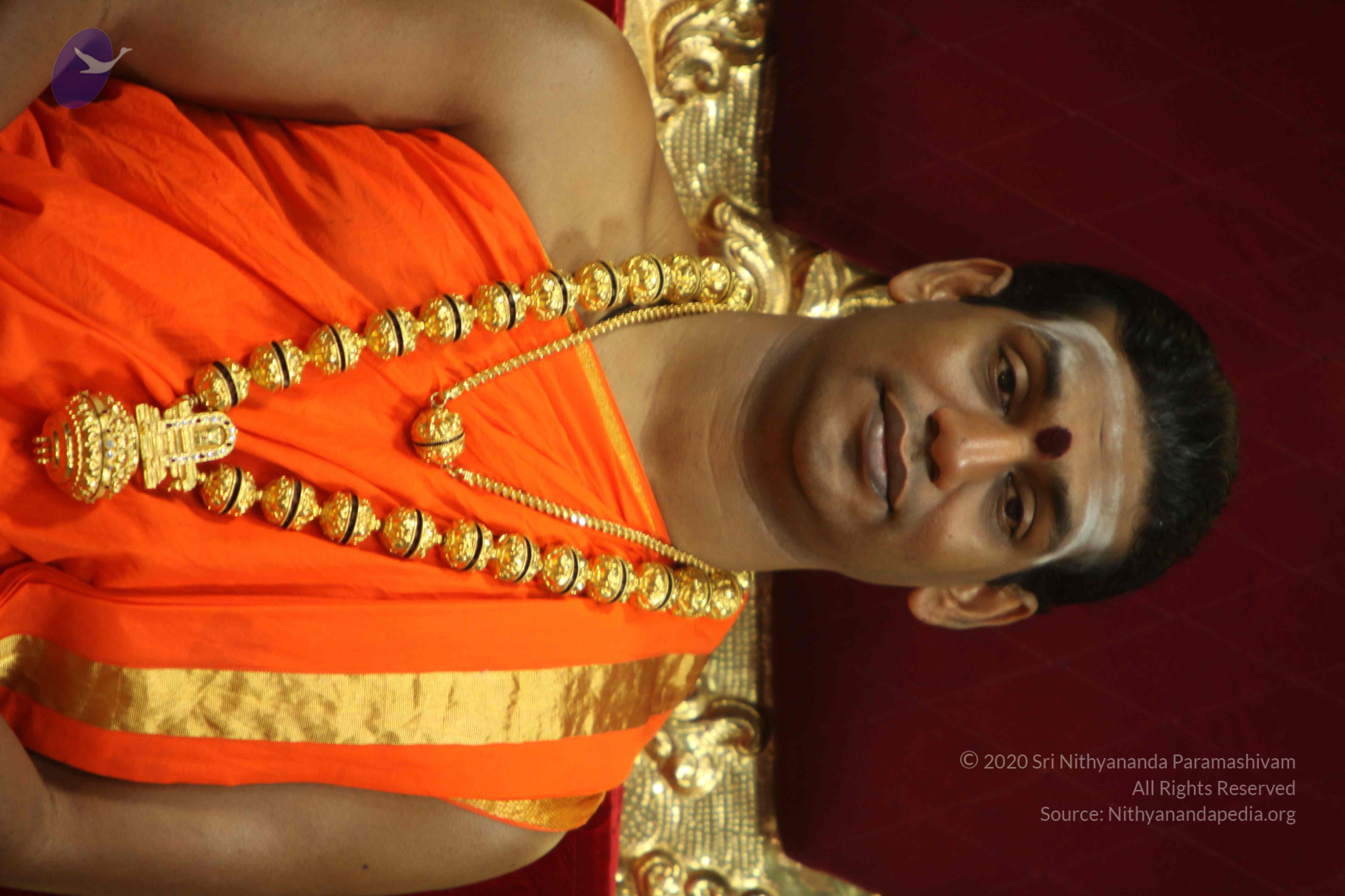 20110225_Photo_1042_IMG_1038_CMP_WM