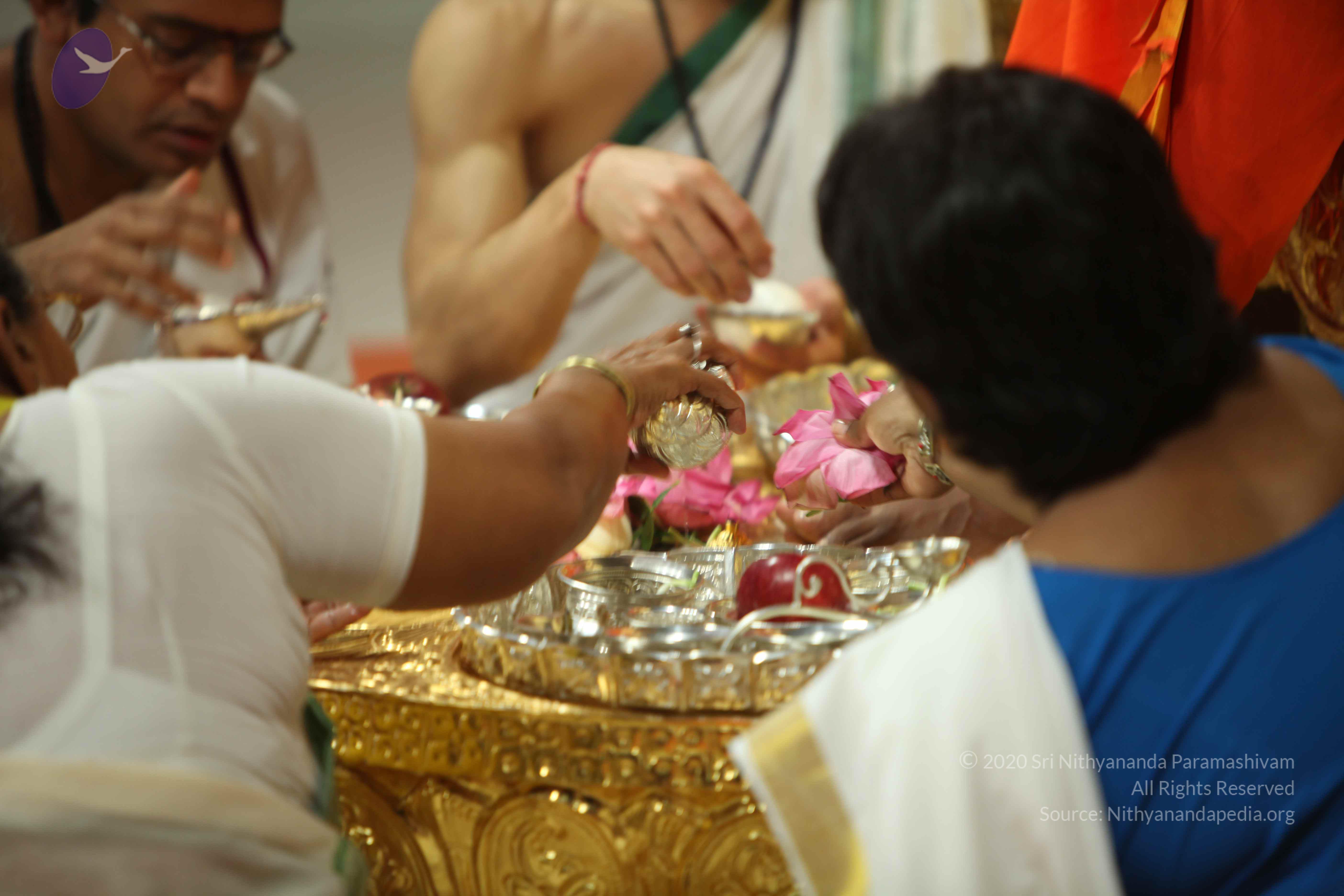 20110225_Photo_1044_IMG_0962_CMP_WM