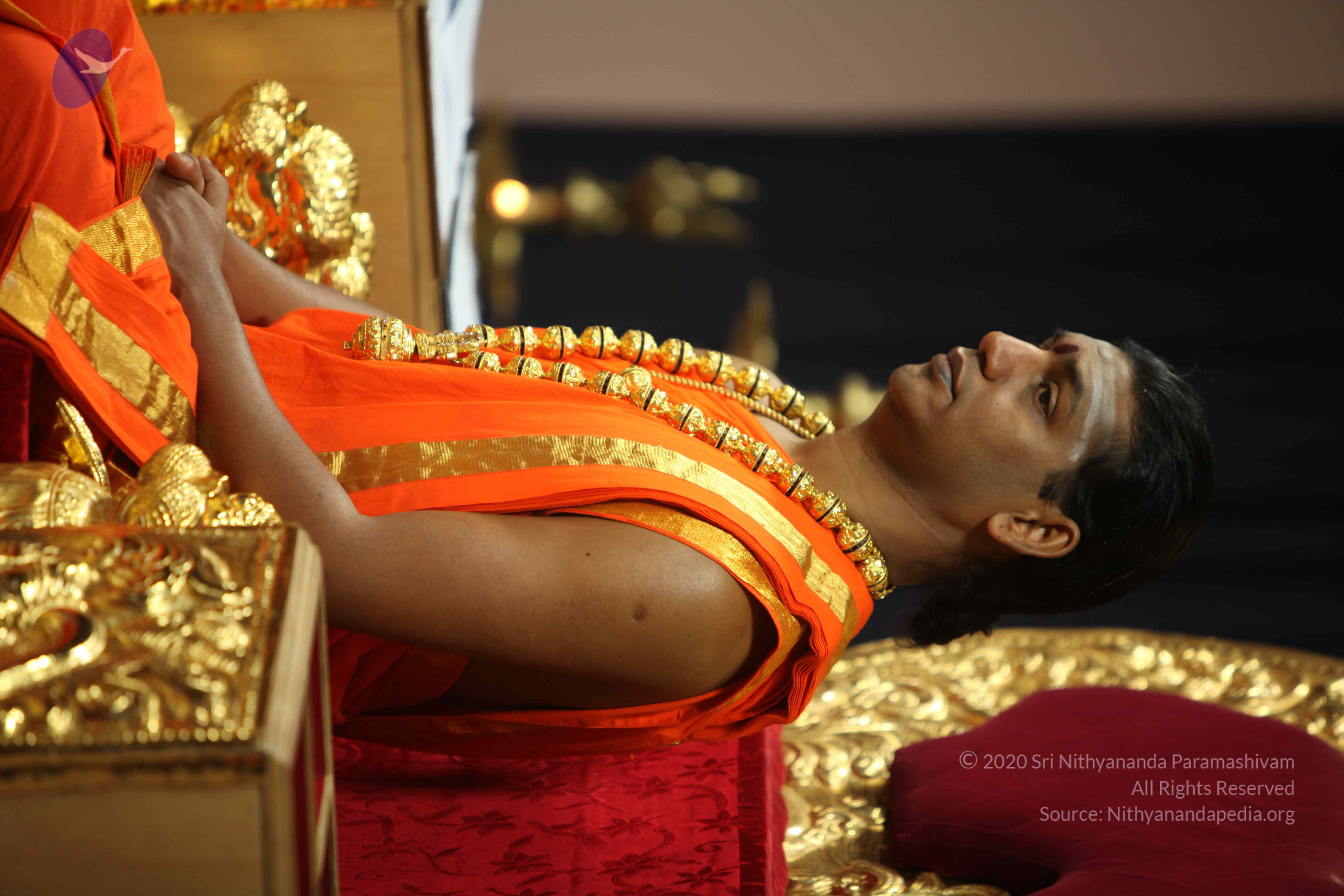 20110225_Photo_1059_IMG_0952_CMP_WM