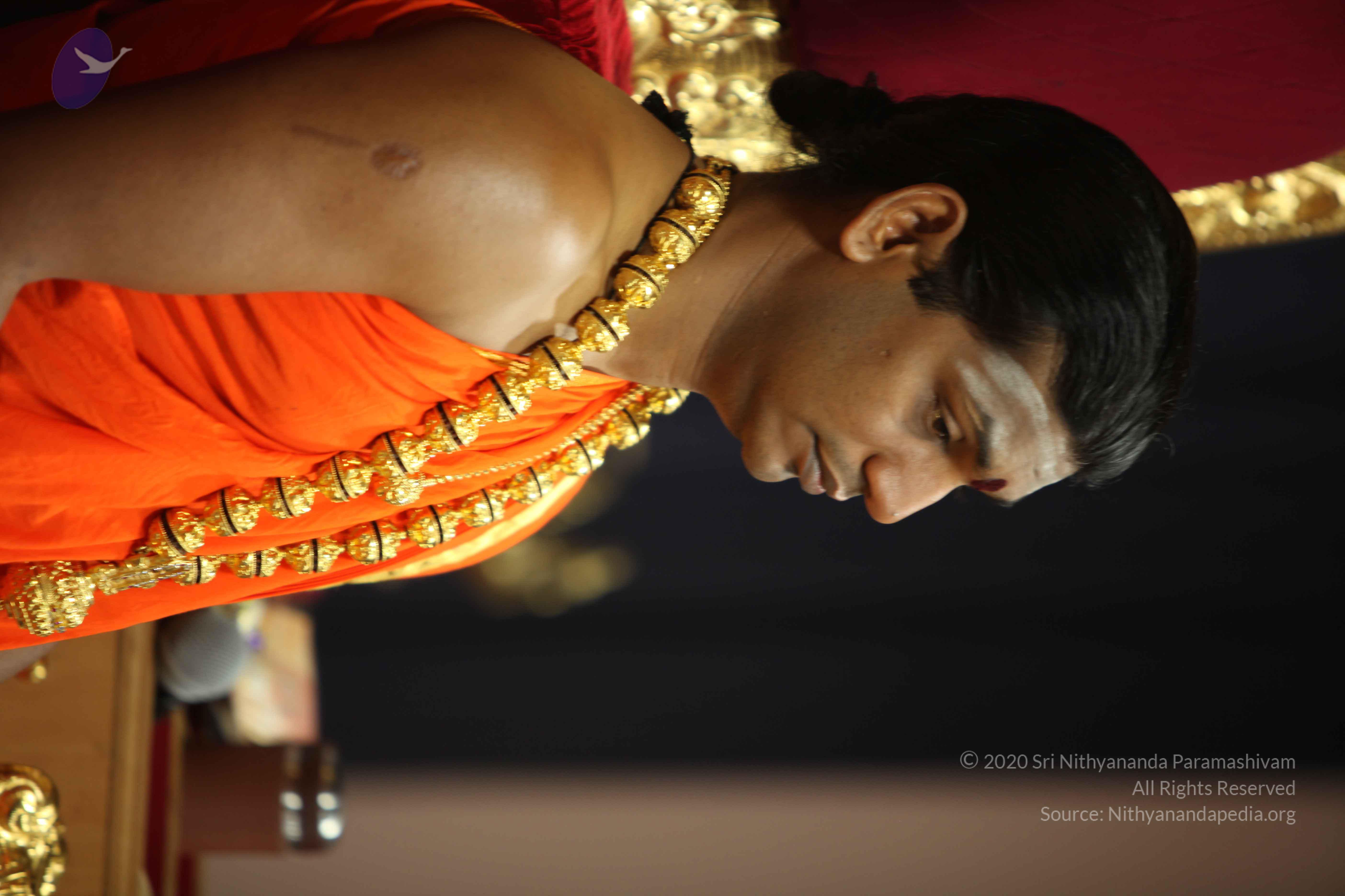 20110225_Photo_1077_IMG_0913_CMP_WM