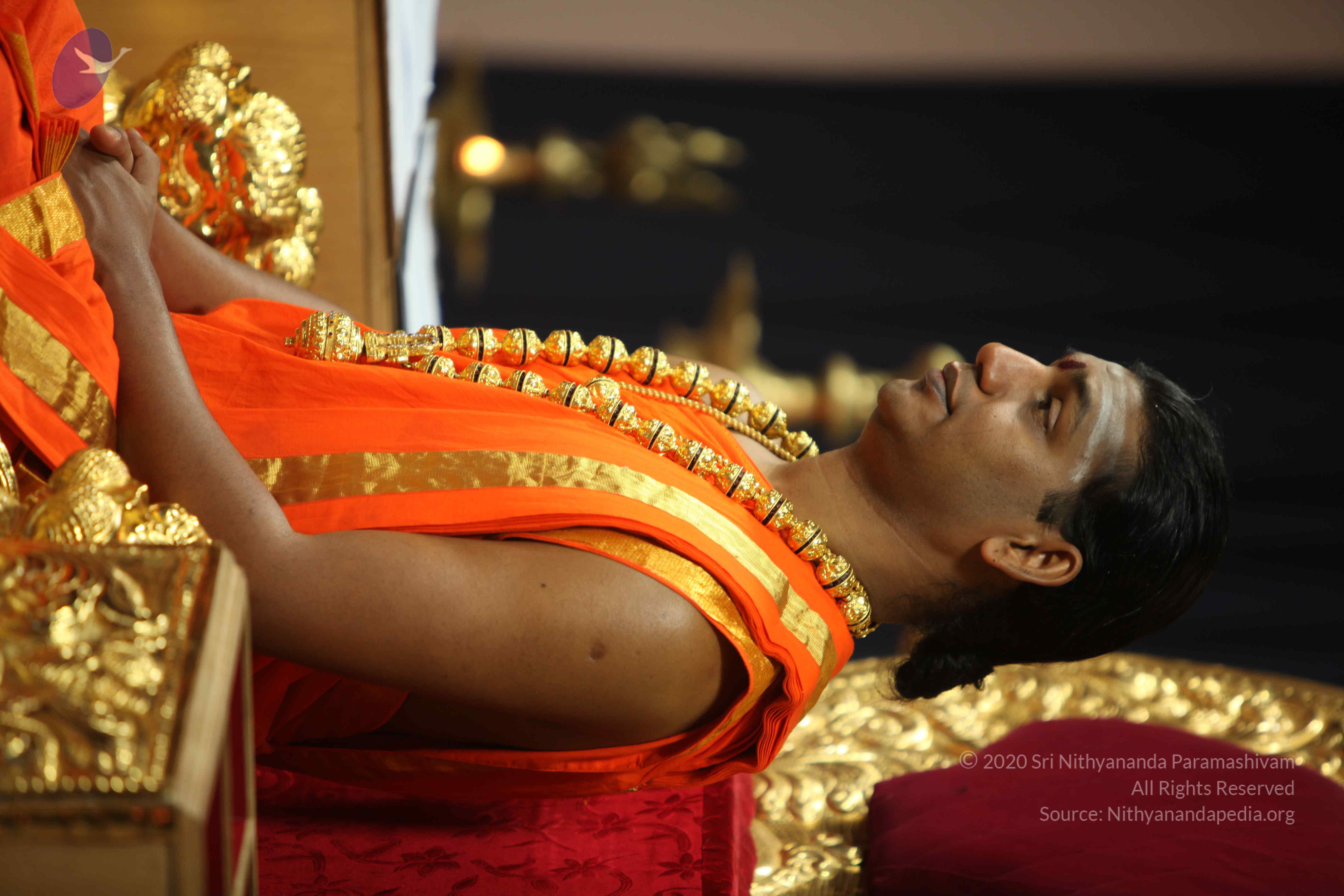 20110225_Photo_1107_IMG_0959_CMP_WM