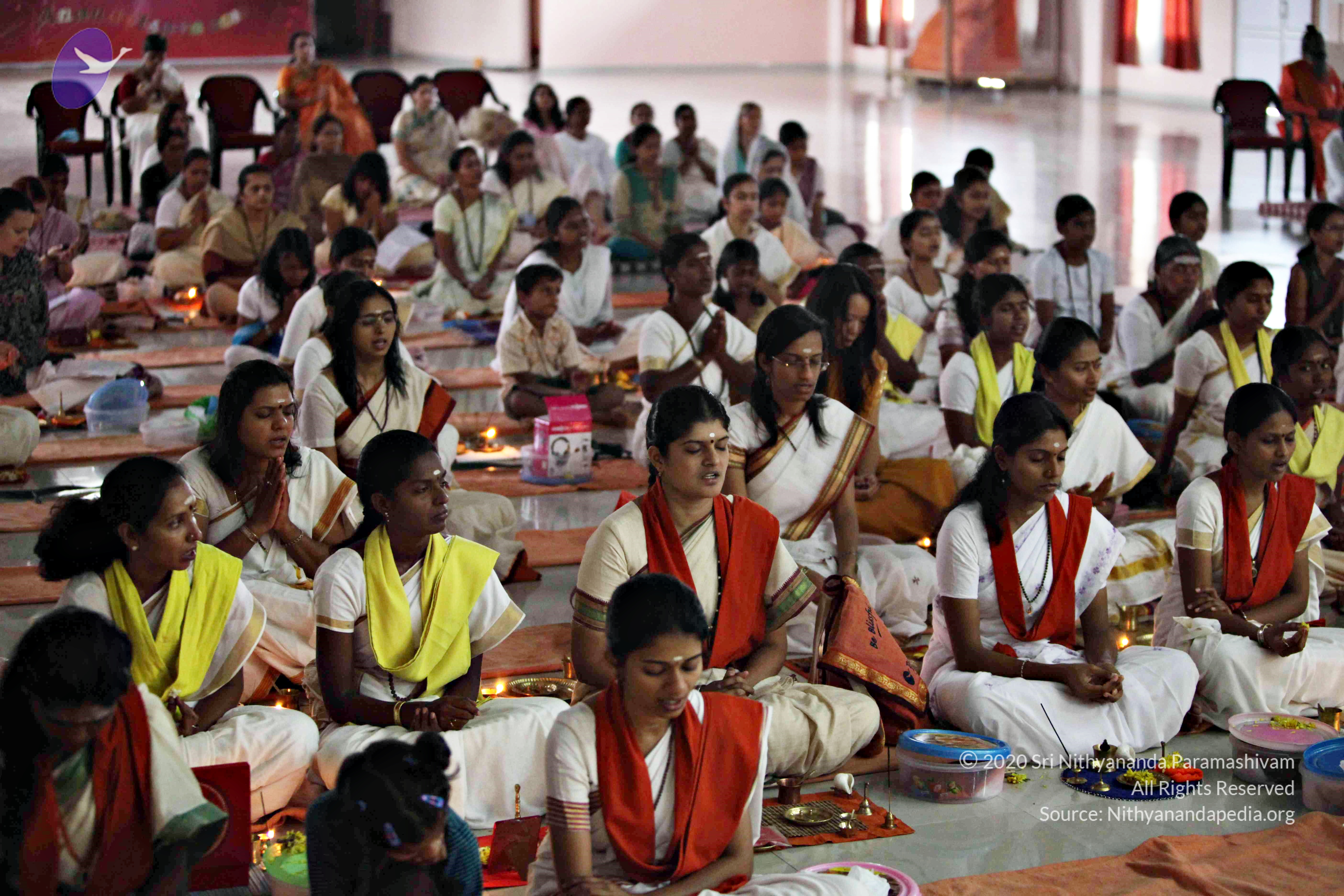 20110225_Photo_1112_IMG_0945_CMP_WM